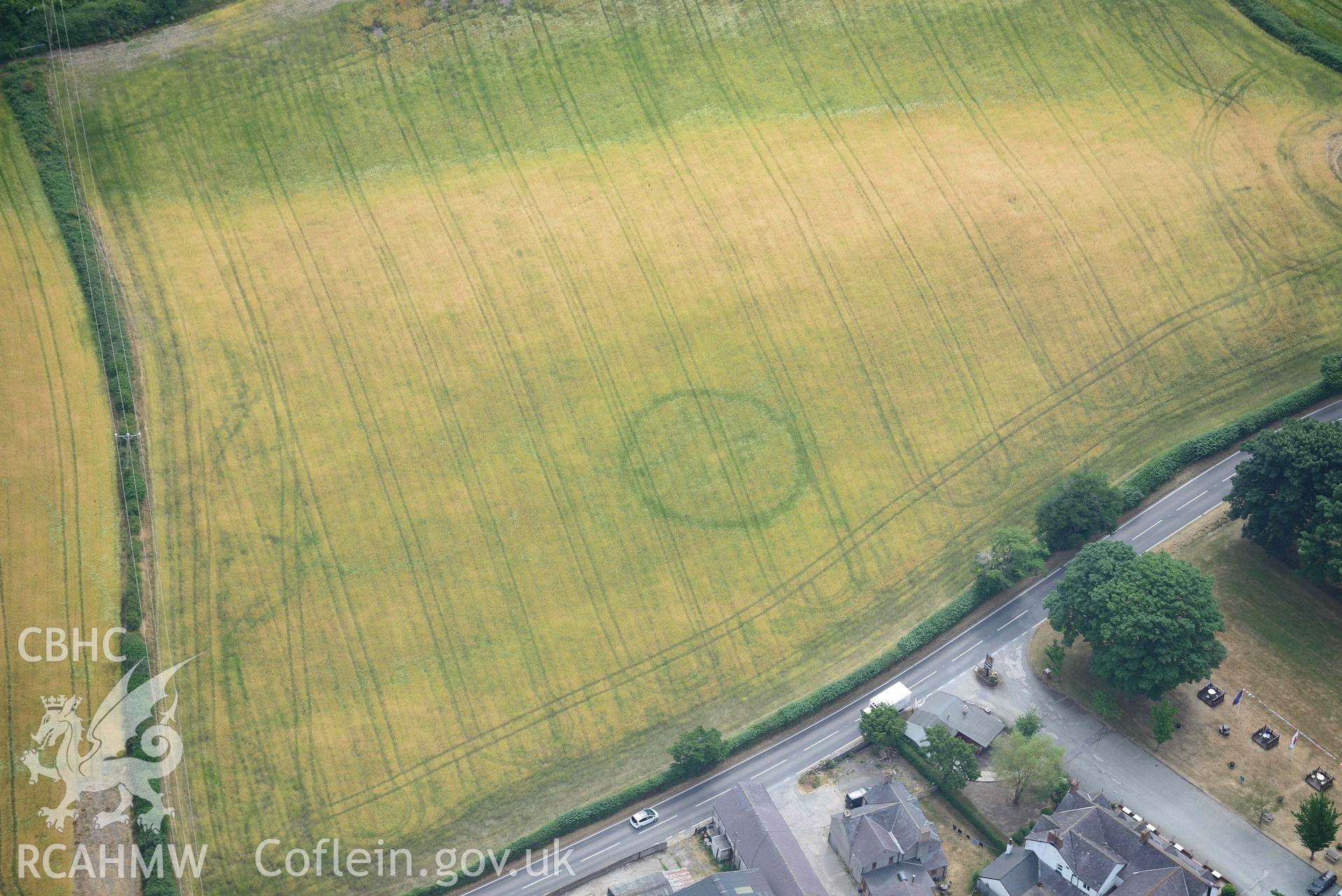 Pillar of Eliseg and Eliseg Ring Ditch. Oblique aerial photograph taken during the Royal Commission’s programme of archaeological aerial reconnaissance by Toby Driver on 10 July 2018.