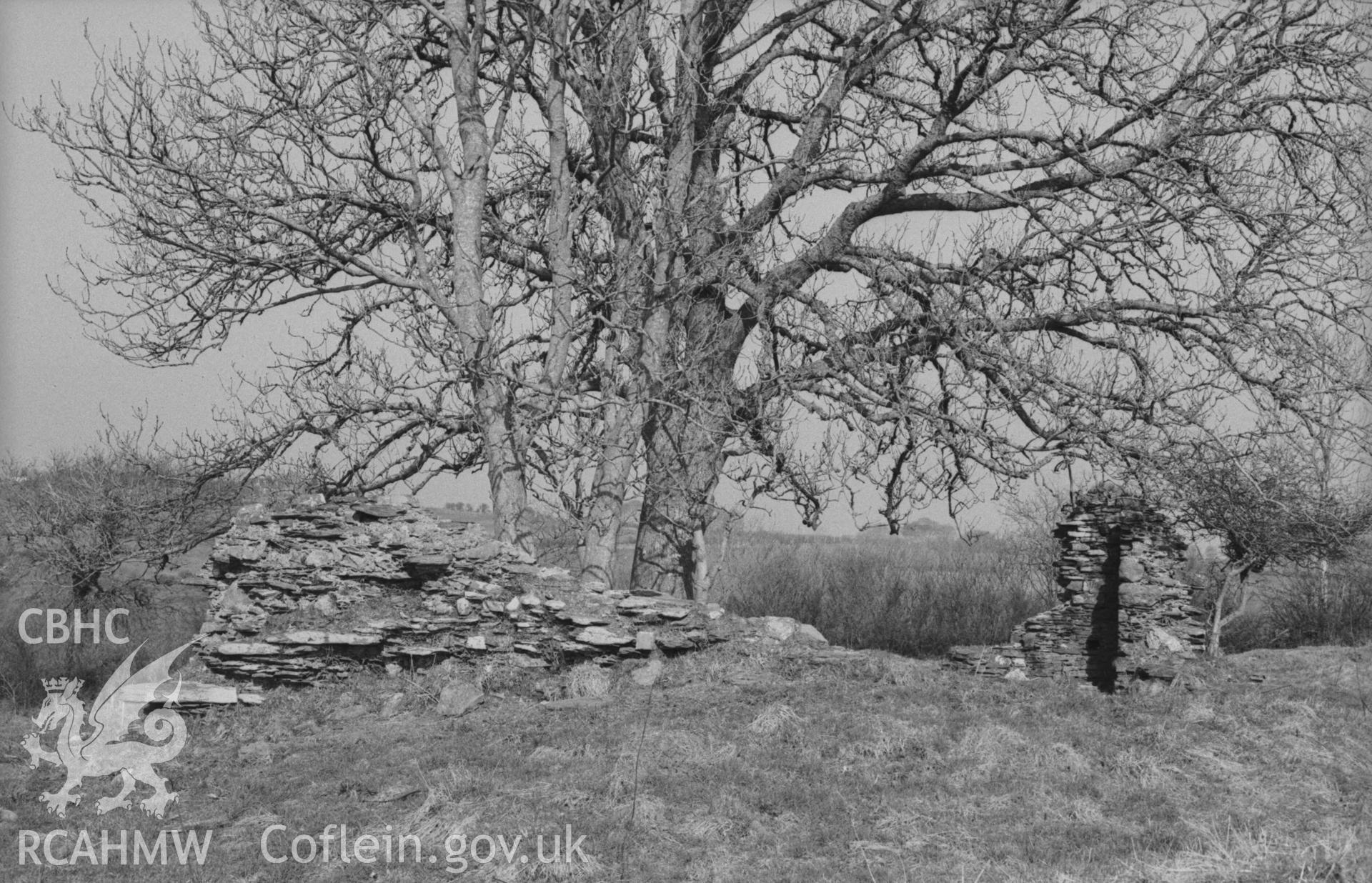 Digital copy of a black and white negative showing Llanfairtrefhelygen church ruins. Photographed by Arthur Chater on 5 April 1969. Looking east from Grid Reference SN 3436 4413.