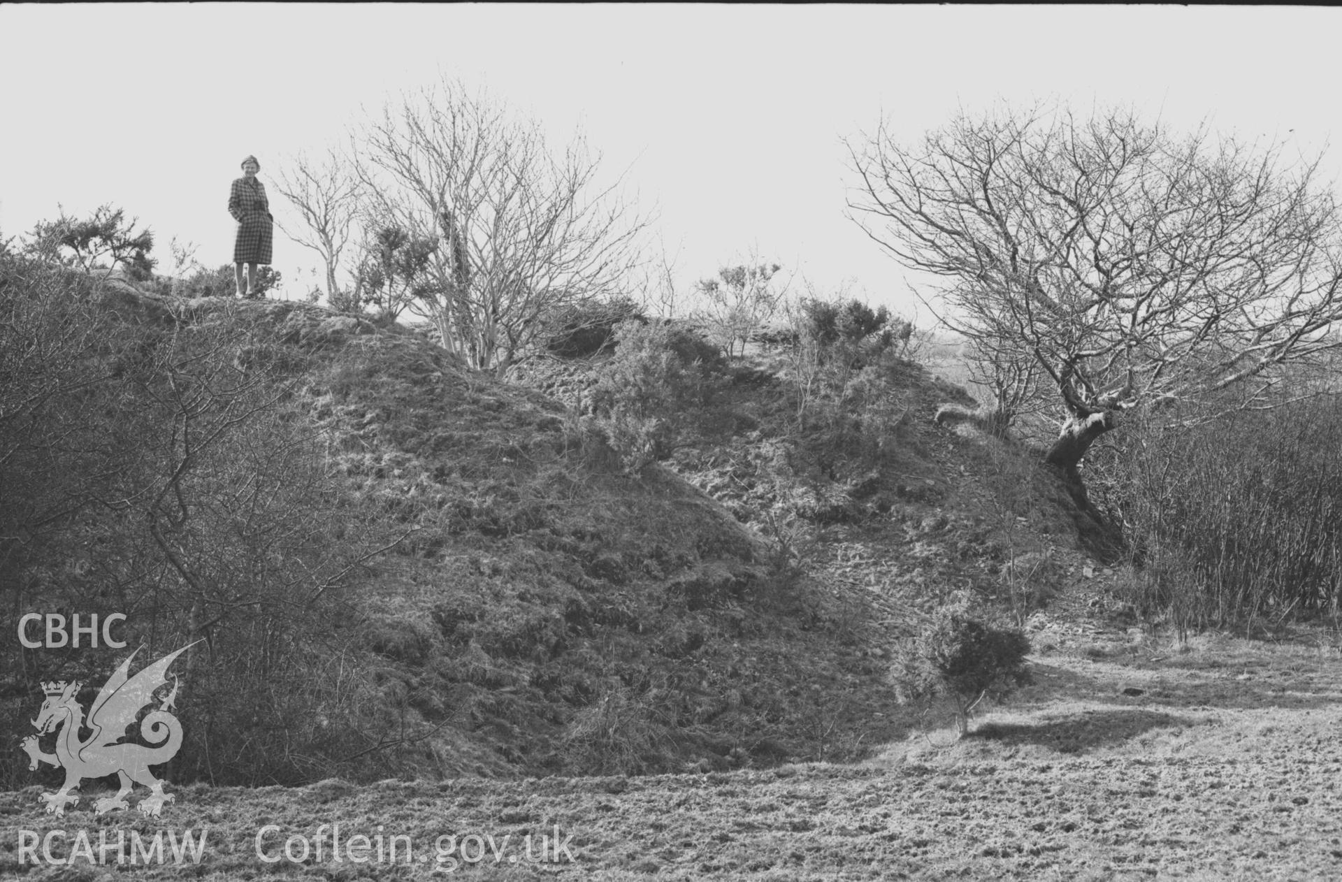 Digital copy of a black and white negative showing person on top of the north eastern side of the Norman motte 100m north east of the Llanfairtrefhelygen church ruins. Photographed by Arthur Chater on 5 April 1969. Looking north west from Grid Reference SN 3444 4421.