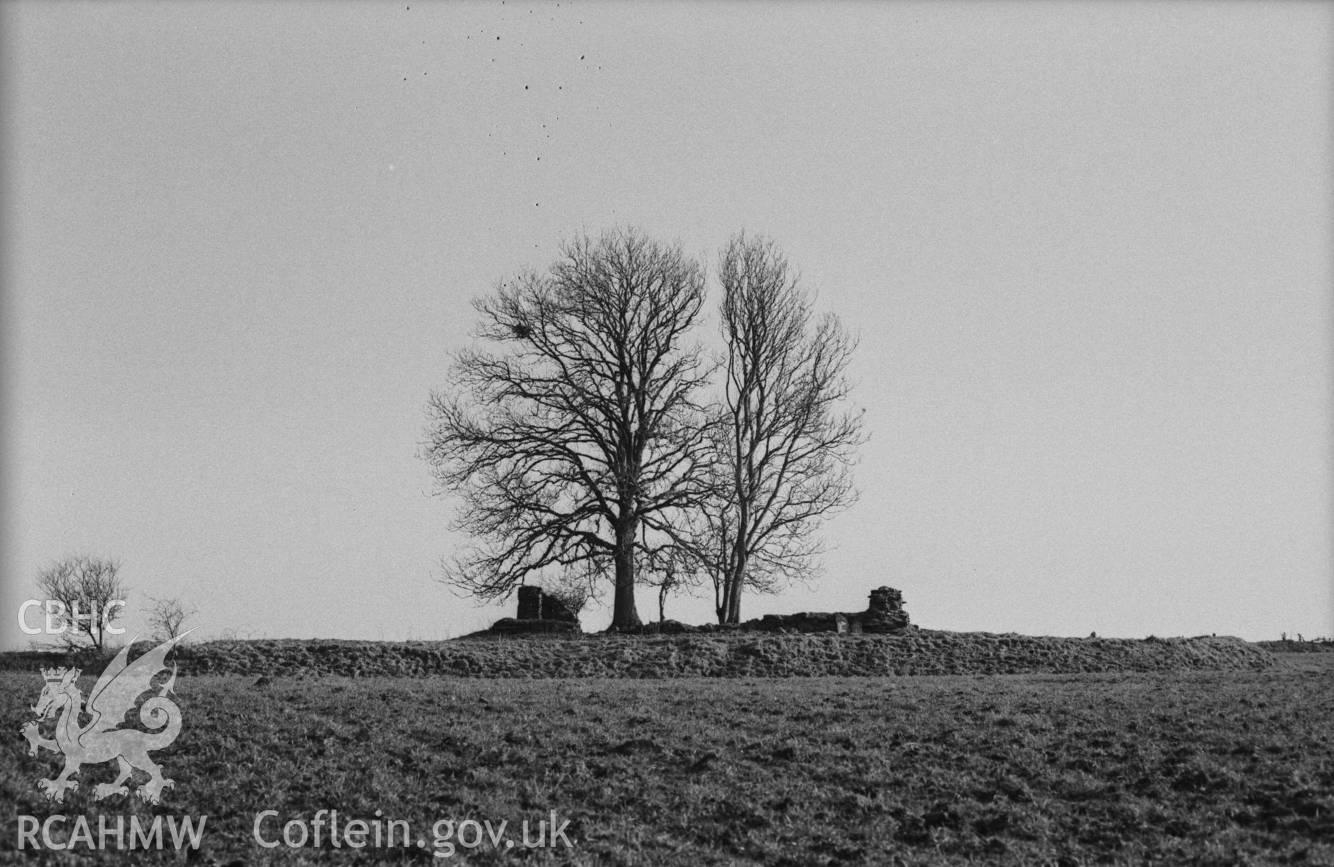 Digital copy of a black and white negative showing Llanfairtrefhelygen church ruins. Photographed by Arthur Chater on 5 April 1969. Looking south south east from Grid Reference SN 3436 4420.