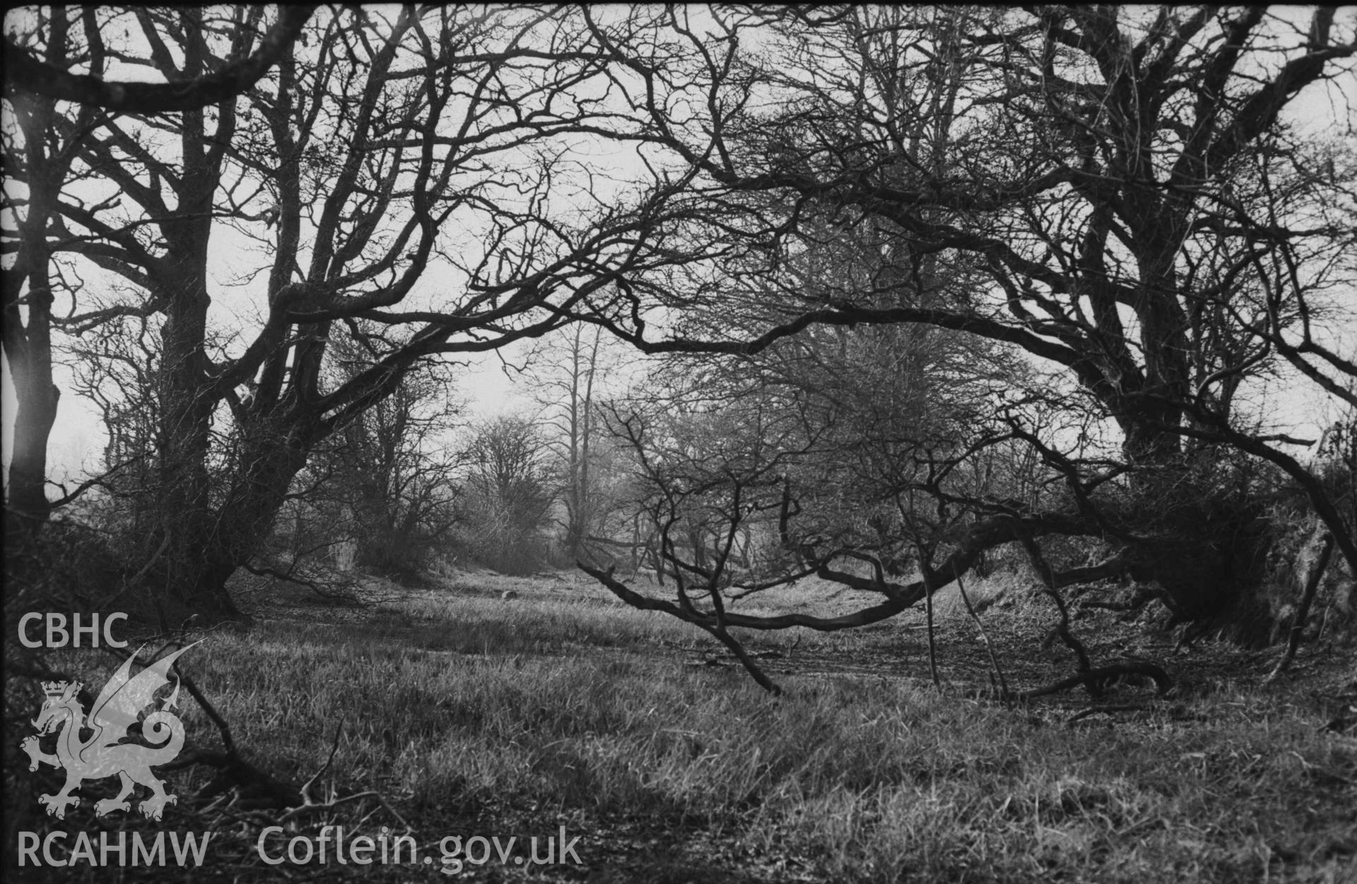 Digital copy of a black and white negative showing view along the "Old Canal" from where the Manordeifi road crosses it 150m north north west of Manordeifi church; canal is here in Cardiganshire for c.250m, and used to take water to the Castell Maelgwyn tin-plate works. Photographed by Arthur Chater on 7 April 1969. Looking west north west from Grid Reference SN 2276 4330.