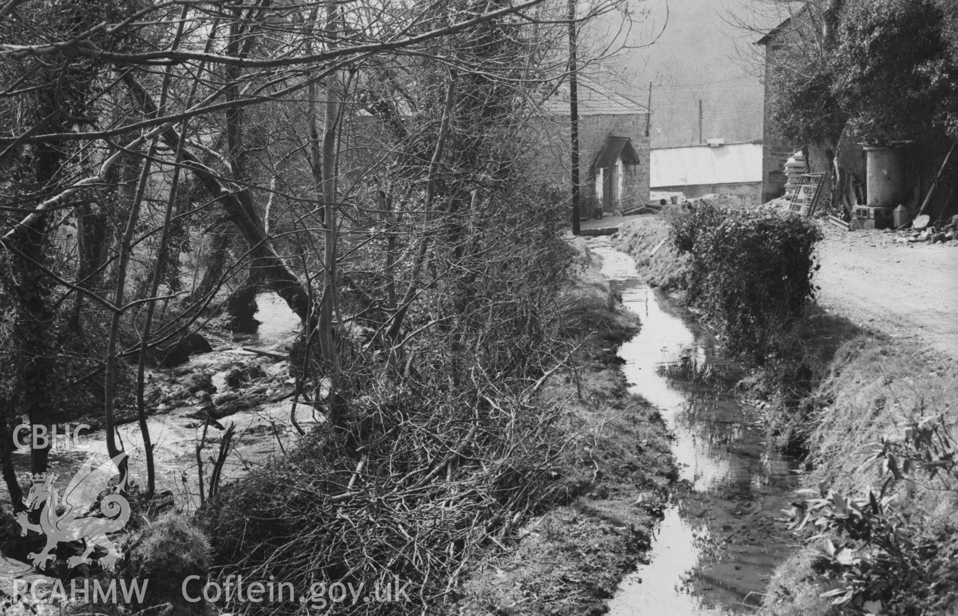 Digital copy of a black and white negative showing view from Pont Wnda down the mill stream (right) to Felin-Wnda mill, Afon Ceri on the left. Photographed by Arthur Chater on 7 April 1969. Looking south west from Grid Reference SN 3238 4695.