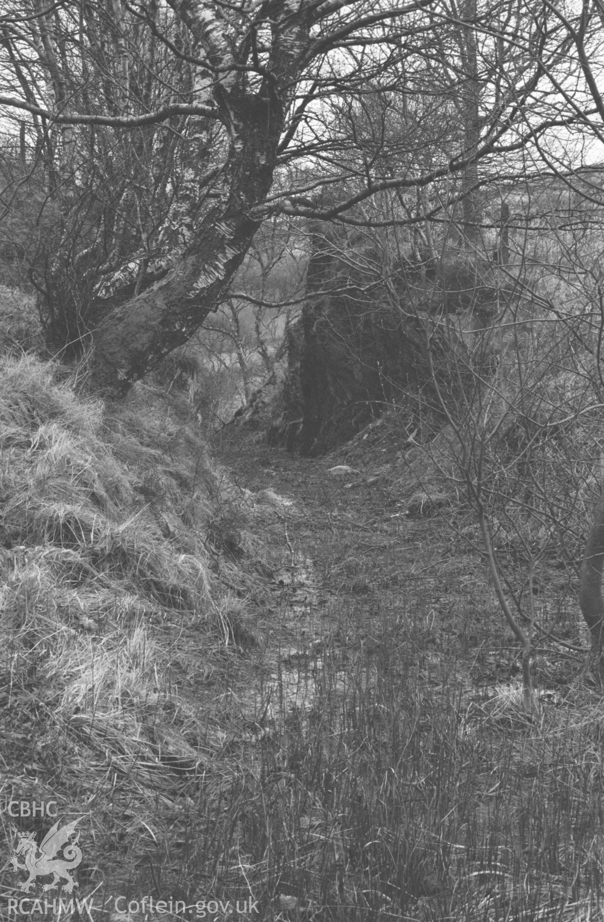 Digital copy of a black and white negative showing cutting of Hafan-Llandre railway, from 200m west of Capel Bethesda. Photographed by Arthur Chater on 13 April 1969. Looking west north west from Grid Reference SN 6919 8849.