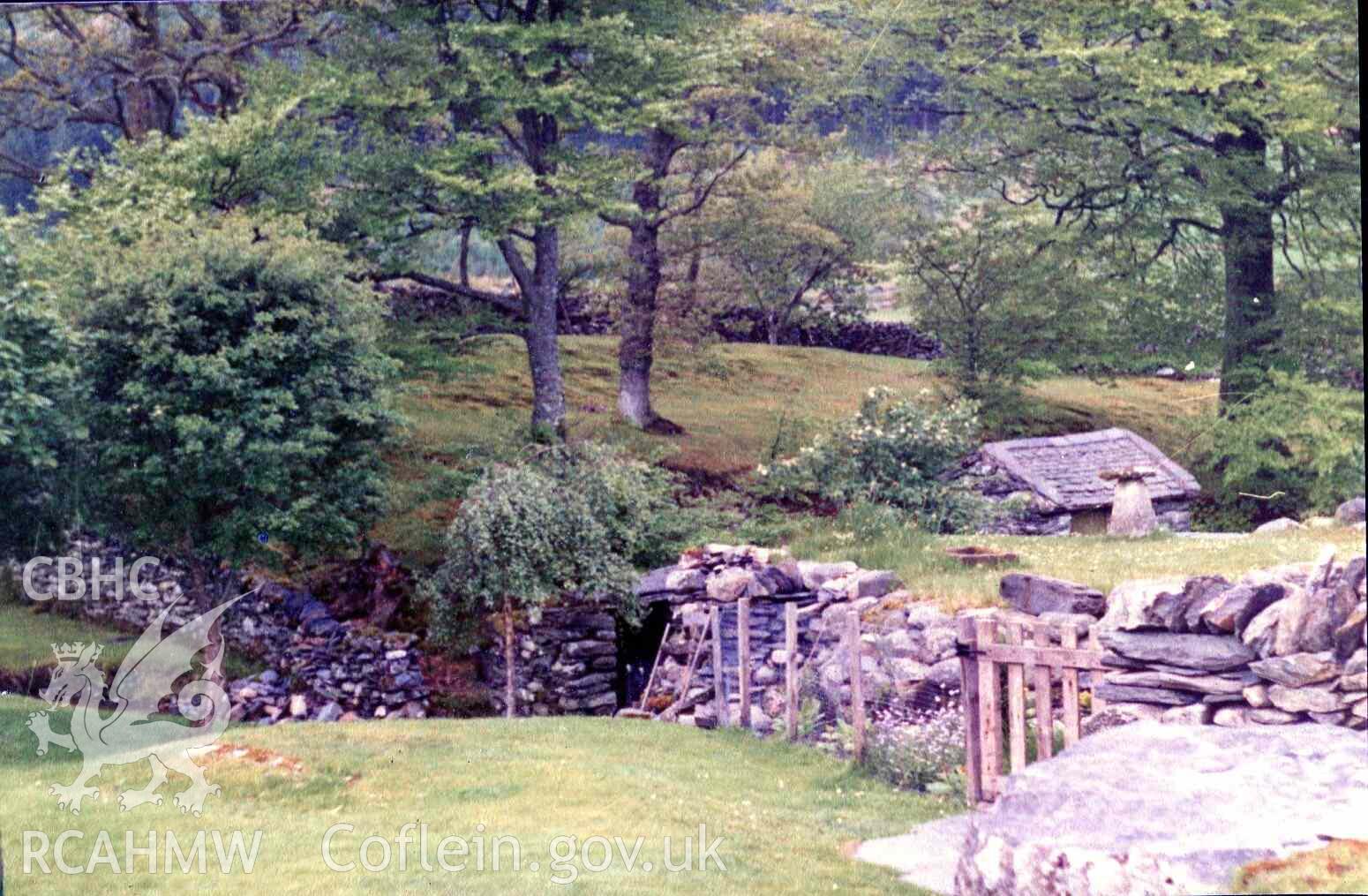 Privy over stream (in the mid/bottom of the image, beside a small tree). Small shed after being re-roofed. Photographed by Ronald and Joan Adams in the mid 1970s.