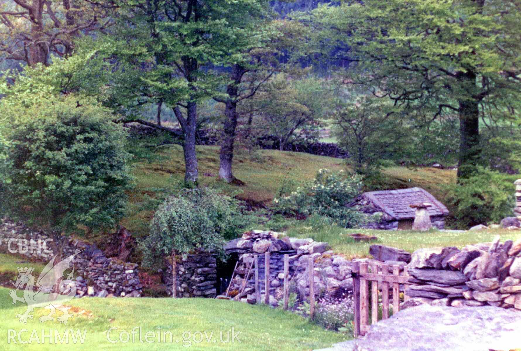 Privy over stream (in the mid/bottom of the image, beside a small tree). Small shed after being re-roofed. Photographed by Ronald and Joan Adams in the early to mid 1970s.