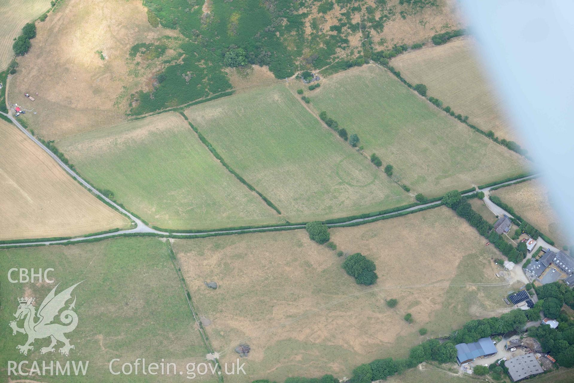 Ringditch cropmark at Dyffryn Gwyn. Oblique aerial photograph taken during the Royal Commission’s programme of archaeological aerial reconnaissance by Toby Driver on 10 July 2018.