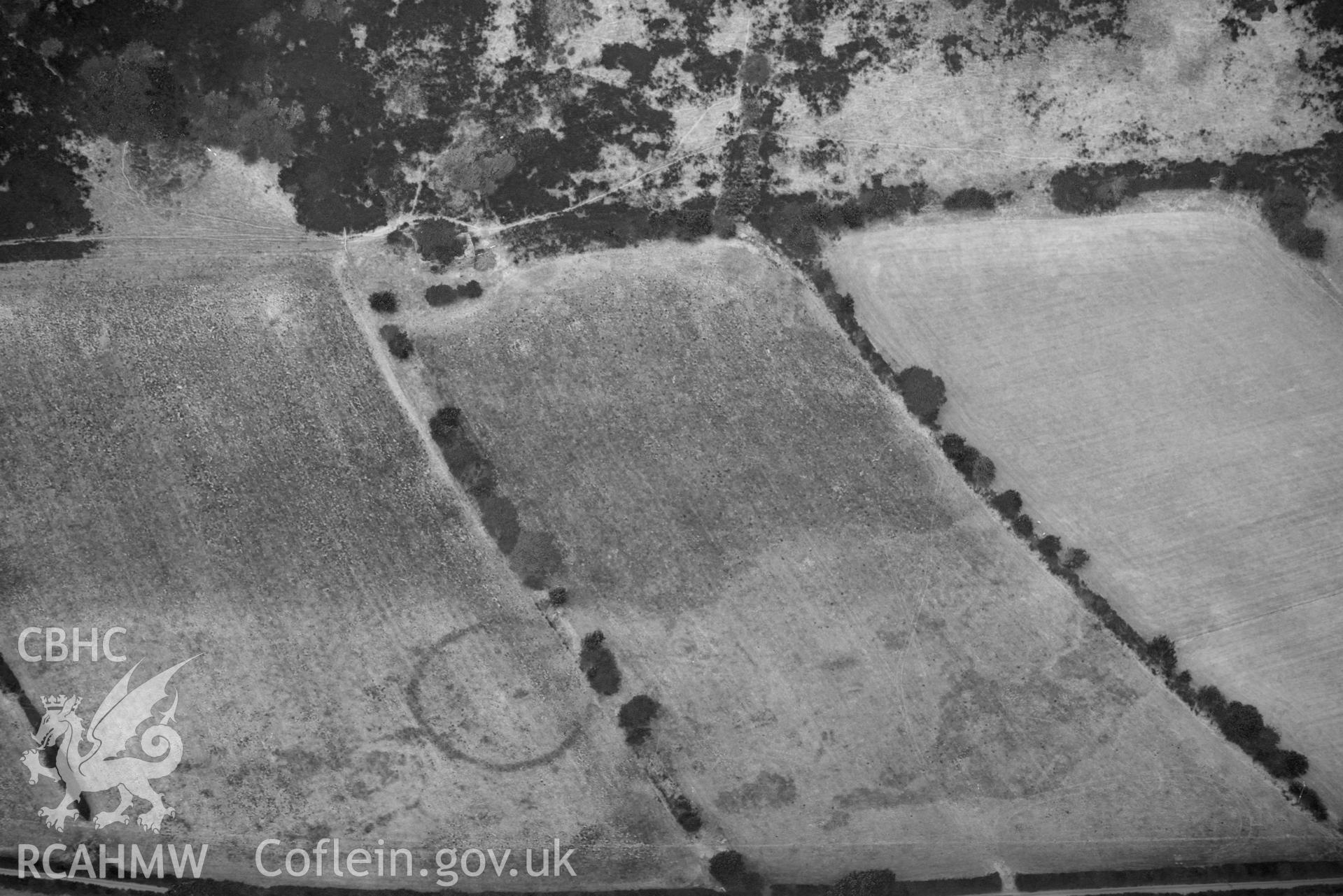 Detailed view of ringditch cropmark at Dyffryn Gwyn. Oblique black and white aerial photograph taken during the Royal Commission’s programme of archaeological aerial reconnaissance by Toby Driver on 10 July 2018.