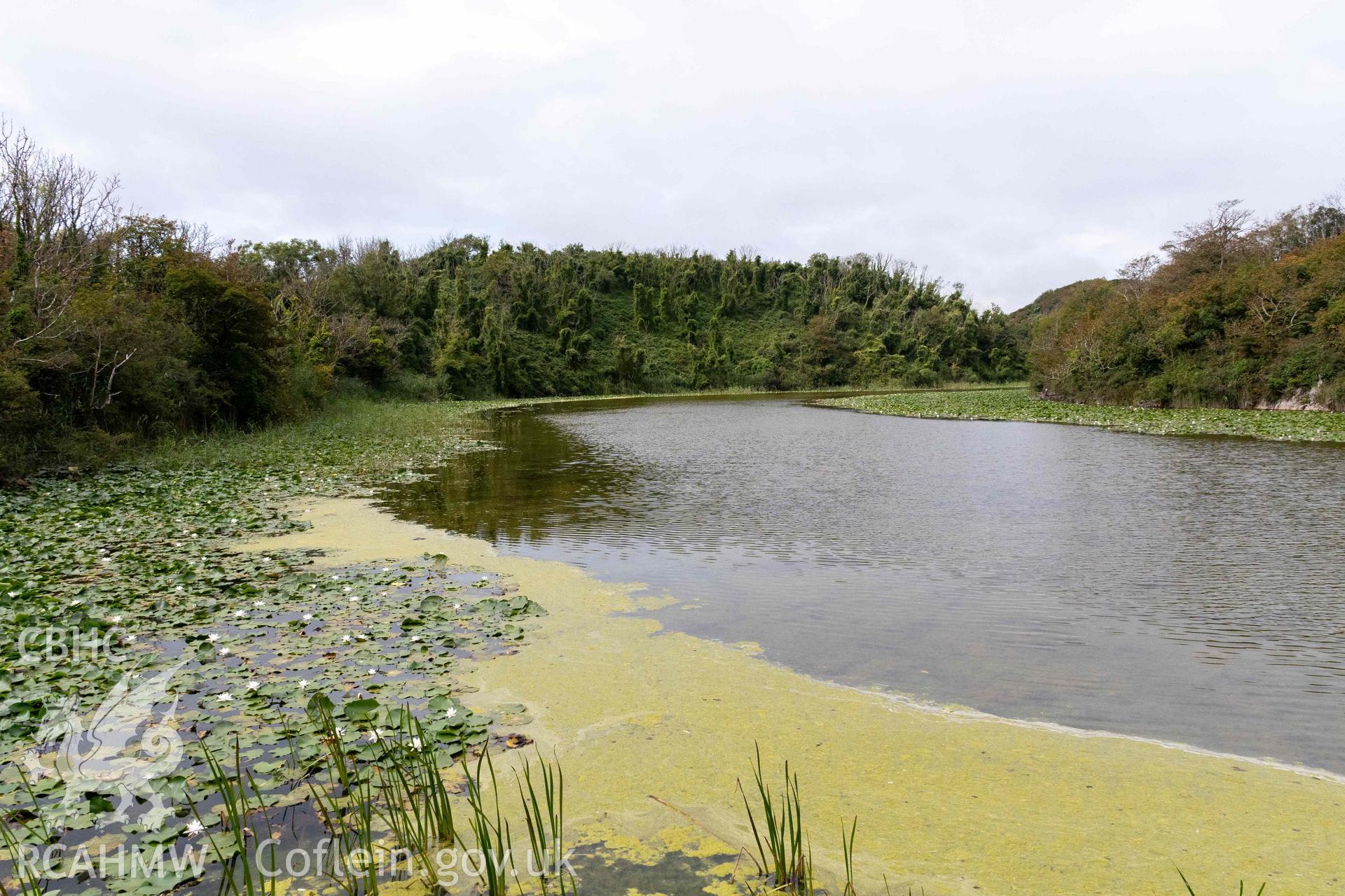 Bosherston Camp. General view looking northwest across Lily Pools towards the natural slope and rampart defining the east side of the fort.