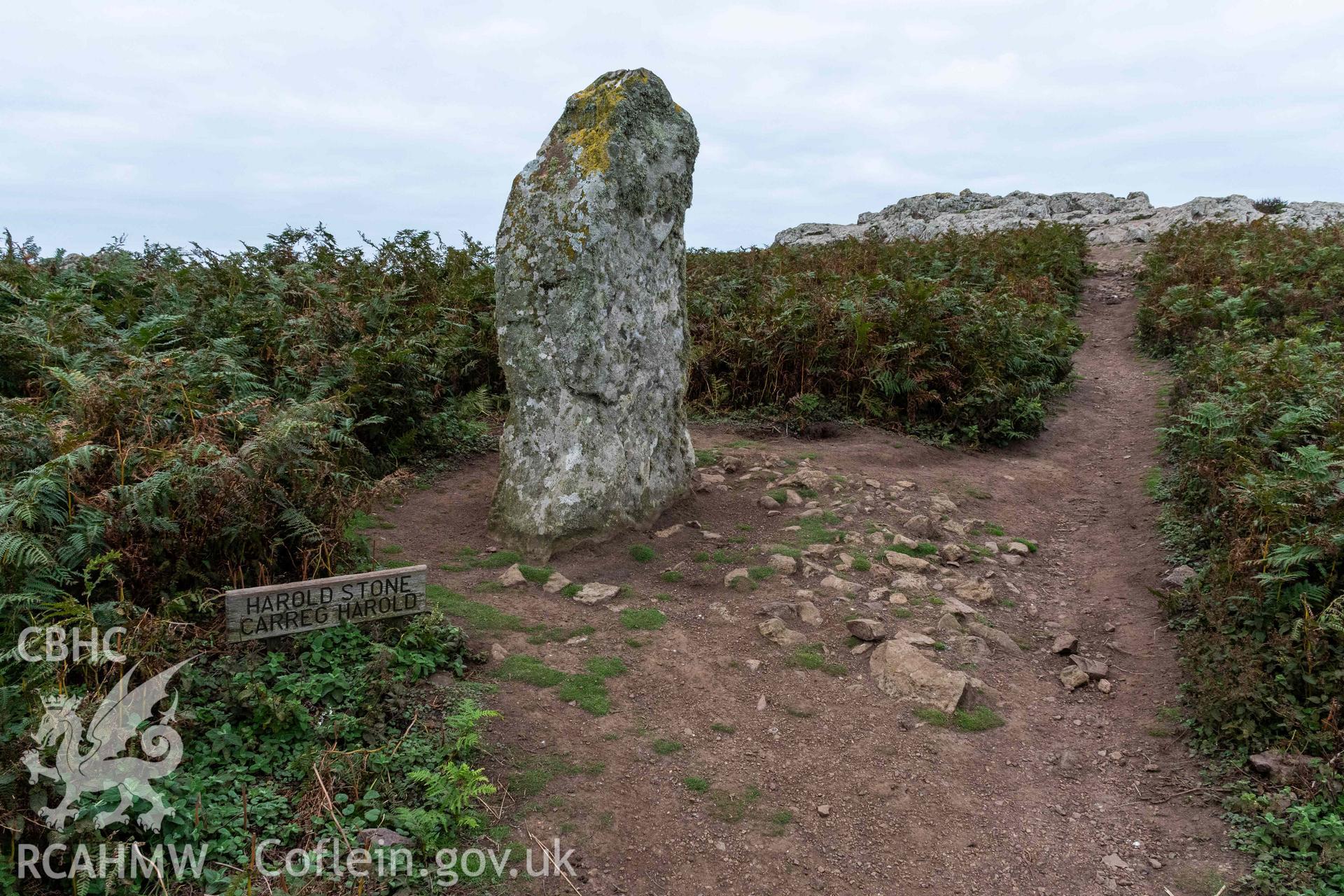 Harold Stone Standing Stone. View from the southeast taken 03/09/2024 showing exposed stone surface on the east side of the stone.