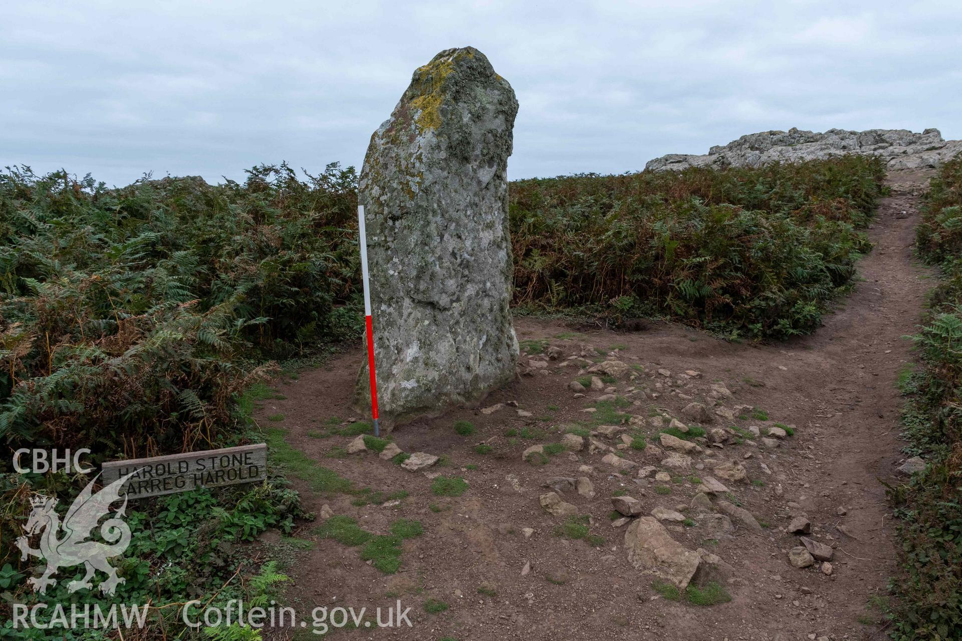 Harold Stone Standing Stone. View from the southeast taken 03/09/2024 showing exposed stone surface on the east side of the stone (with scale).