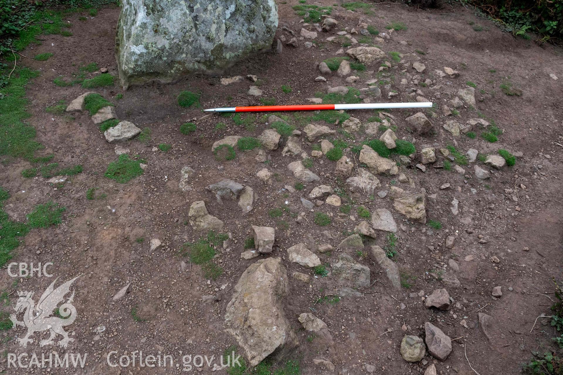 Harold Stone Standing Stone. View from the east taken 03/09/2024 of the exposed stone surface on the east side of the stone (with scale).