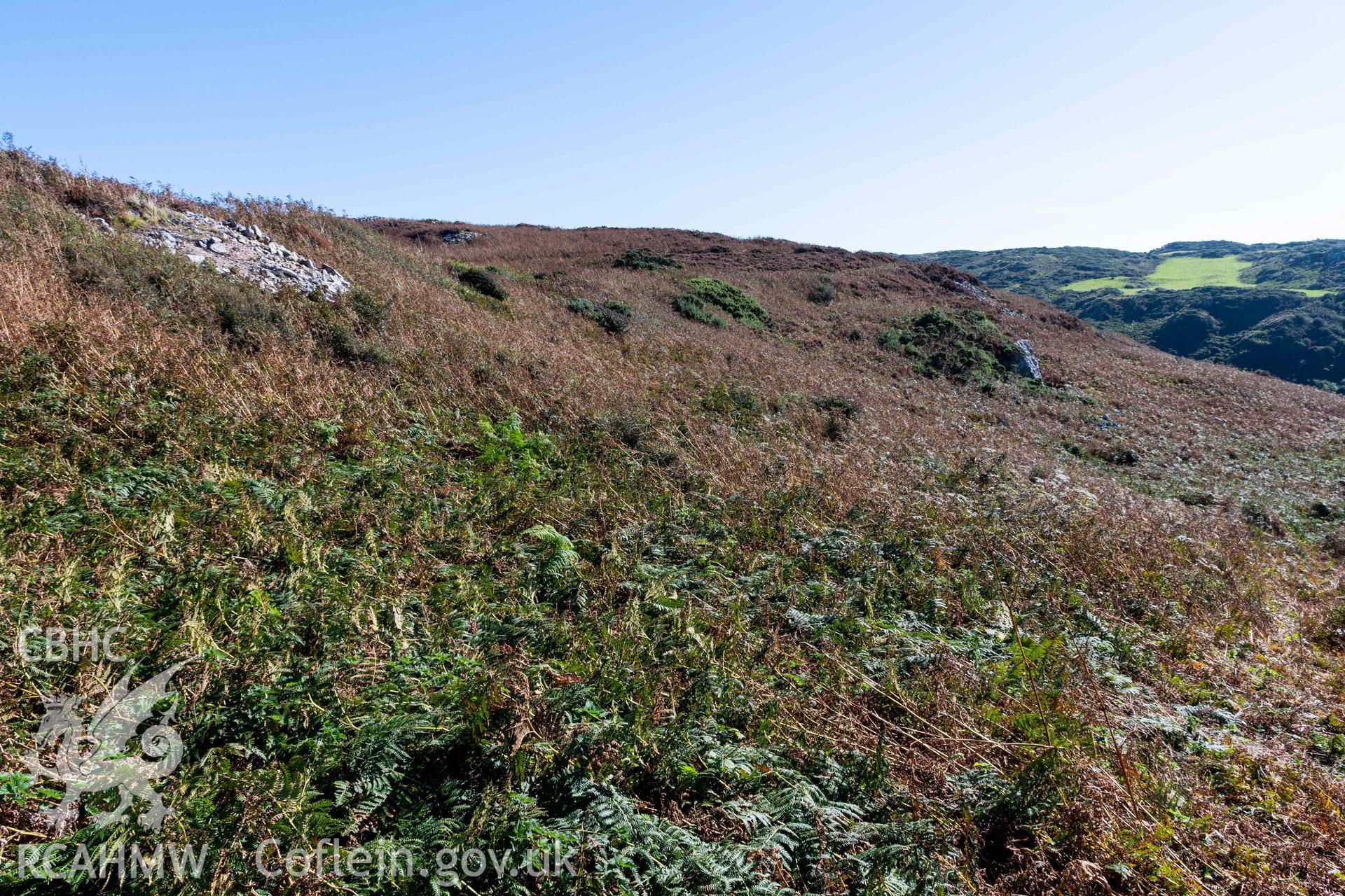 Dinas Gynfor Coastal Hillfort. View looking east across to the main inner rampart of the hillfort.