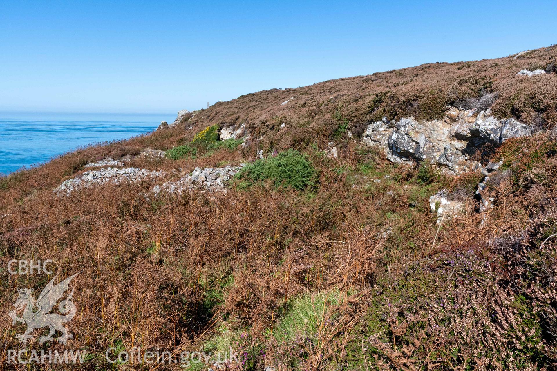 Dinas Gynfor Coastal Hillfort. Evidence of quarrying at the western end of the hillfort interior.