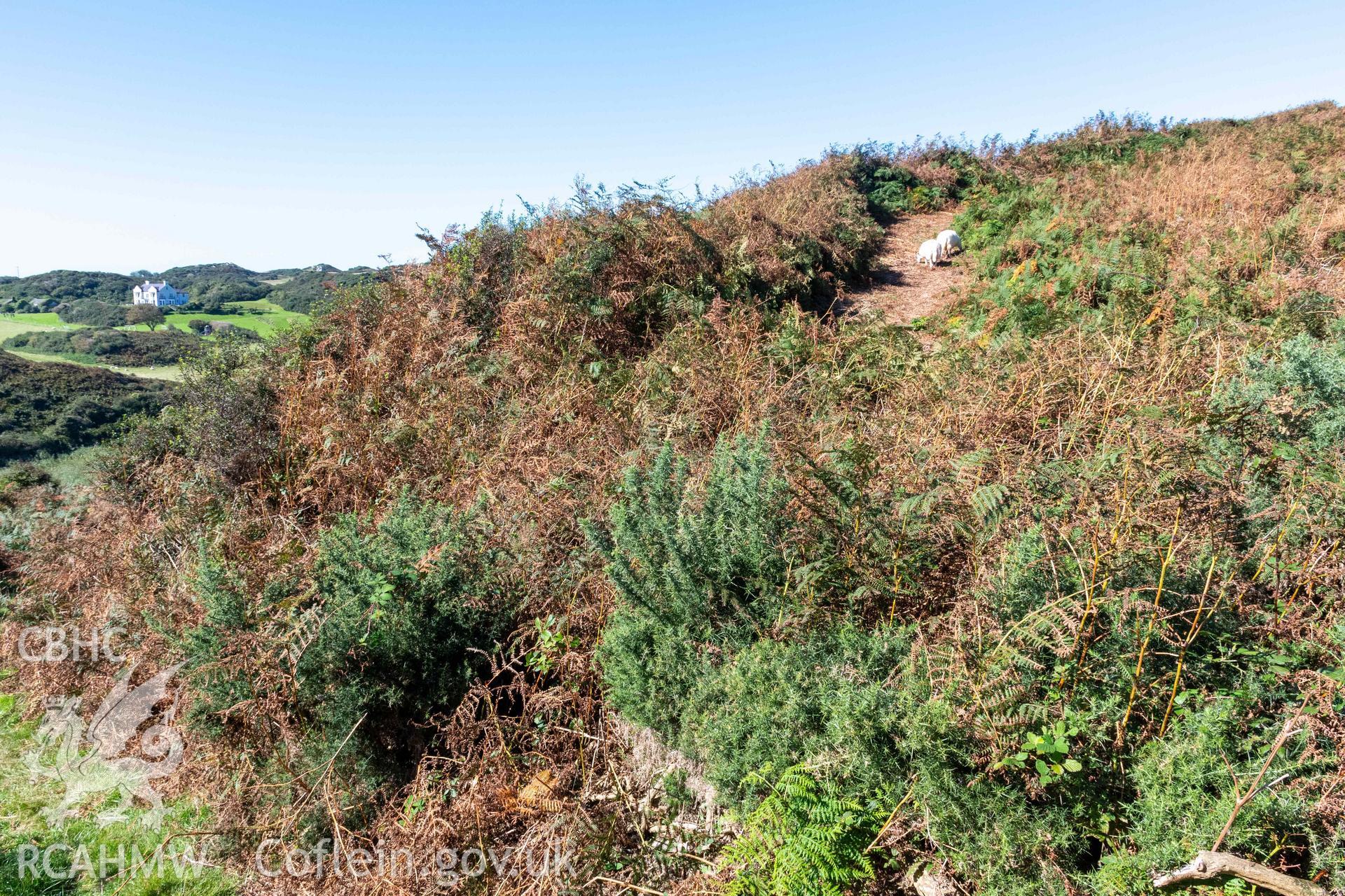 Dinas Gynfor Coastal Hillfort. Entrance into hillfort at the southeastern end. Sheep are grazing in the quarry ditch just inside the inner rampart.