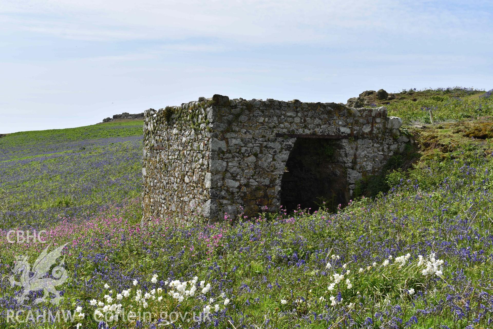 Skomer Lime Kiln 1, looking southwest, on 16/05/2024.