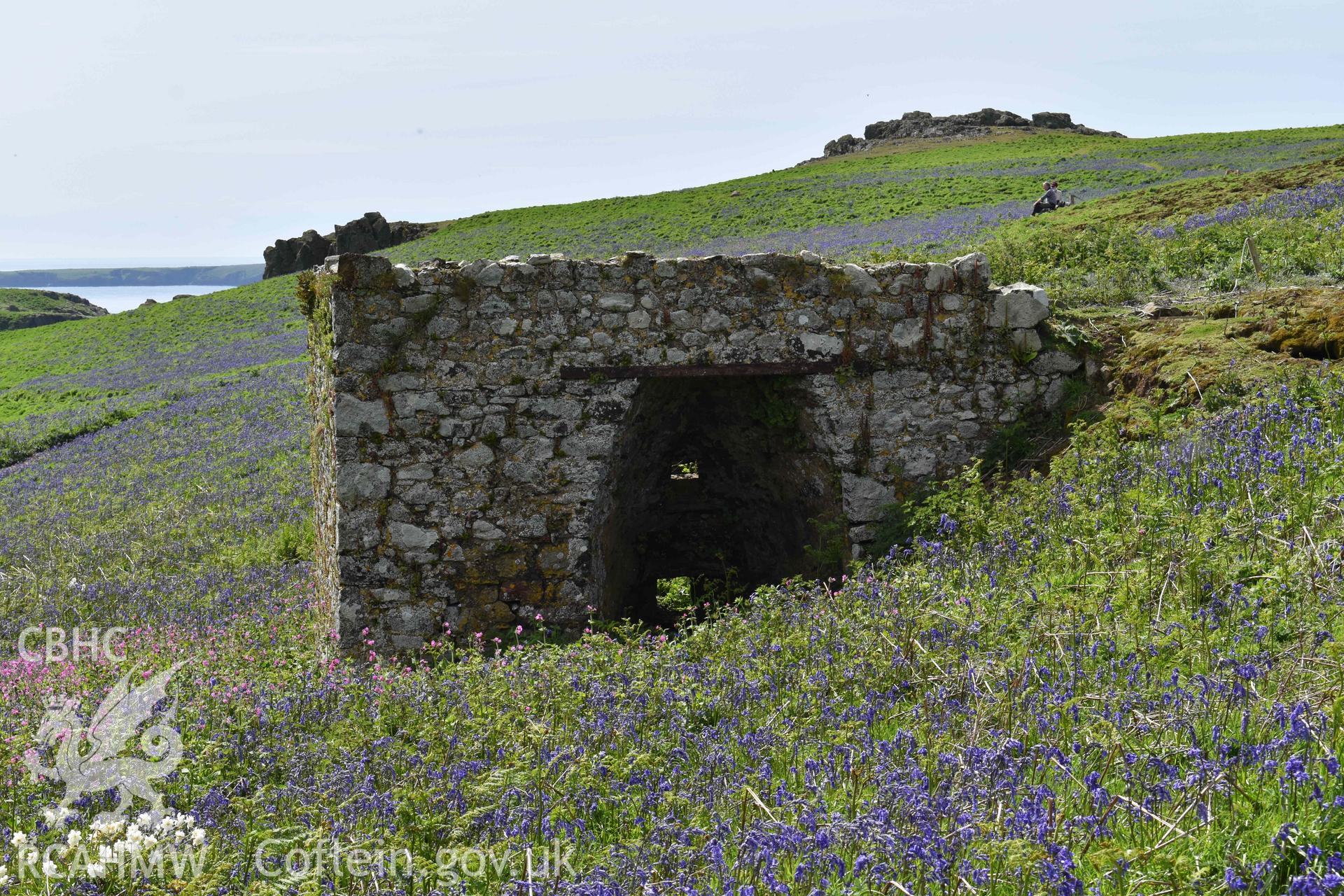 Skomer Lime Kiln 1, looking south, on 16/05/2024.