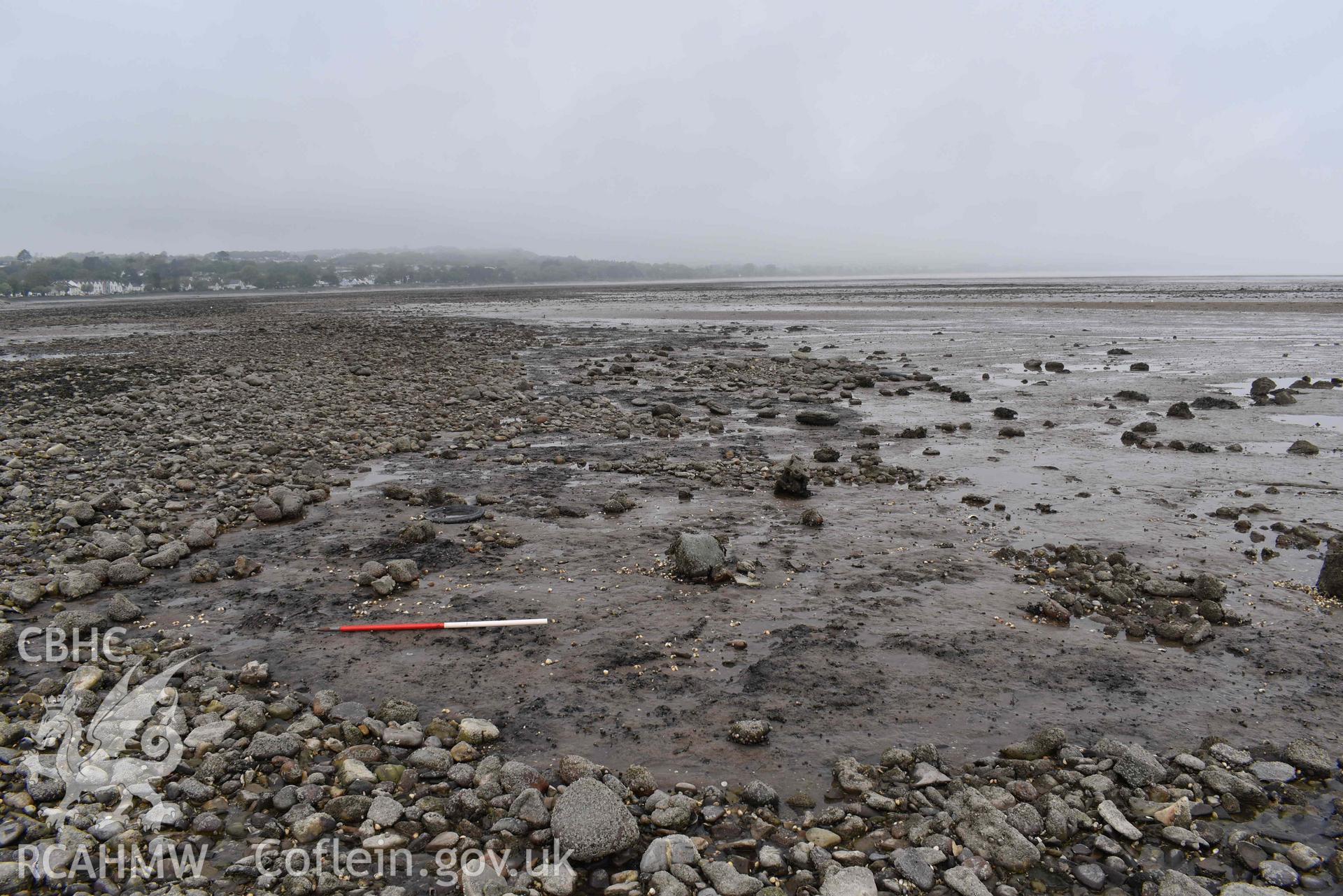 General view of submerged forest remains at the Mumbles, looking north, on 08/05/2024.