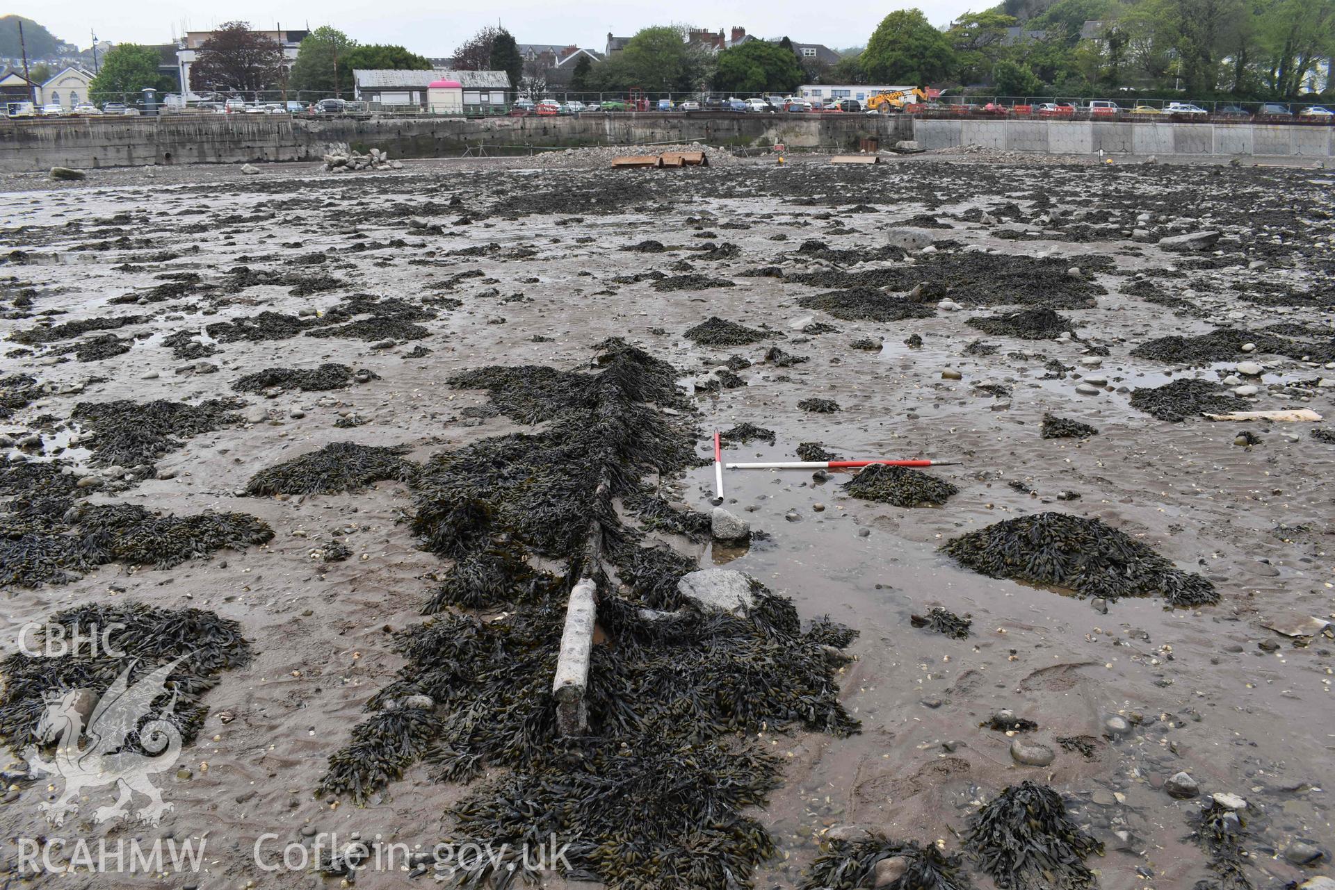 Mumbles Wreck 5, looking west, on 08/05/2024. Scales are 1m. Ongoing sea defence works are visible in the background.