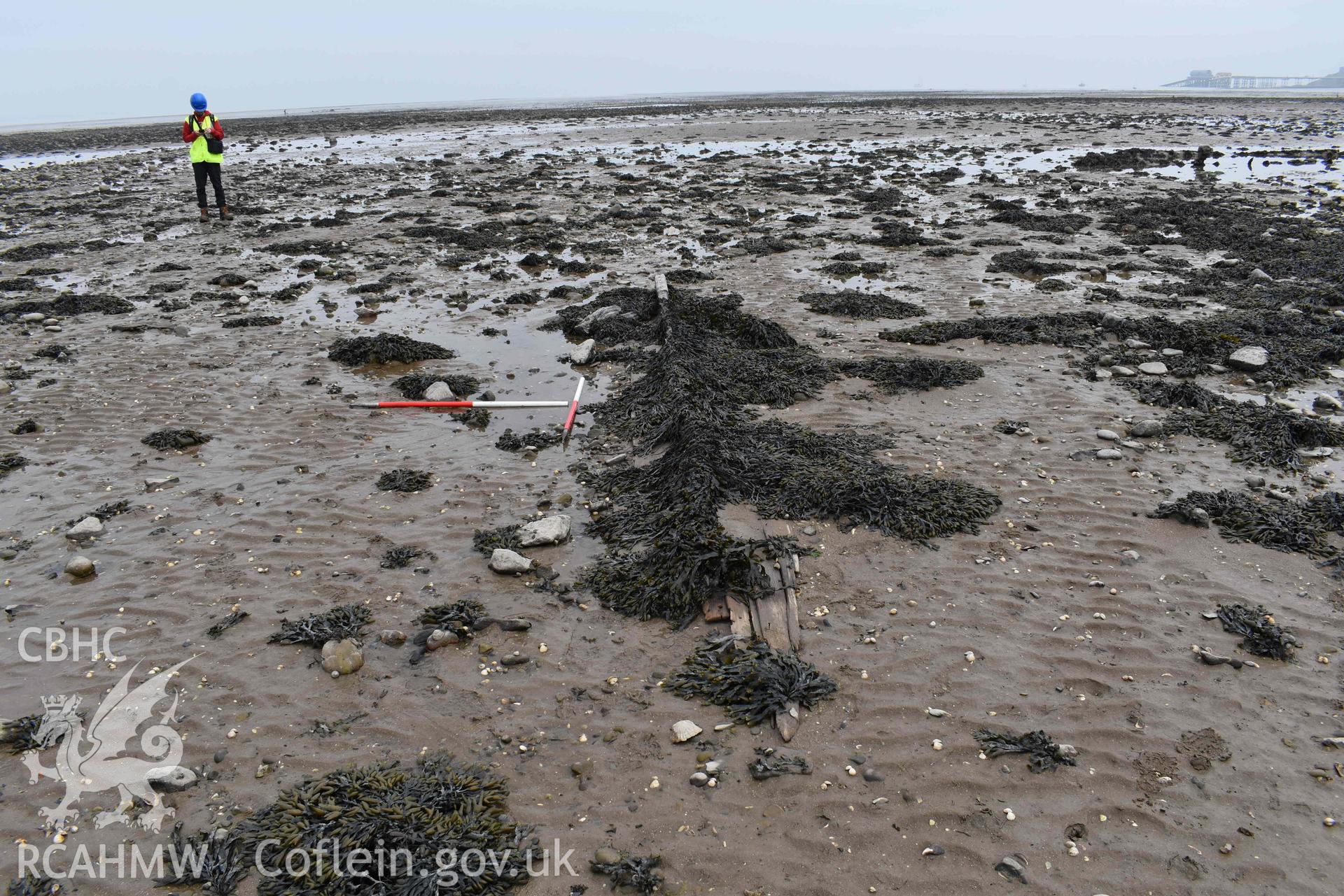 Mumbles Wreck 5, looking east, on 08/05/2024. Scales are 1m.