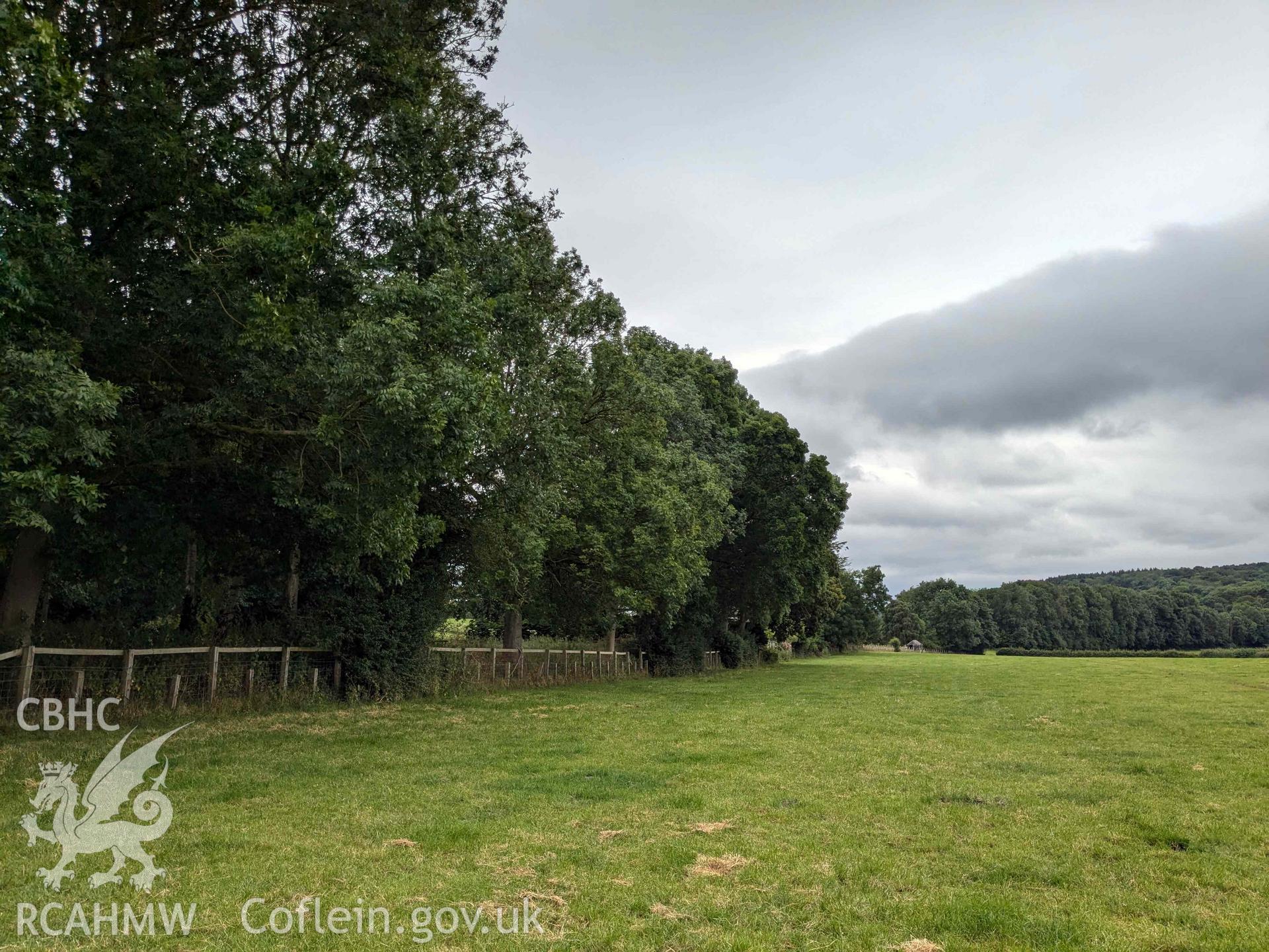 The Ffynogion spoons. Ground photograph showing approximate findspot alongside former railway line, view looking south-west near Eyarth Old Station