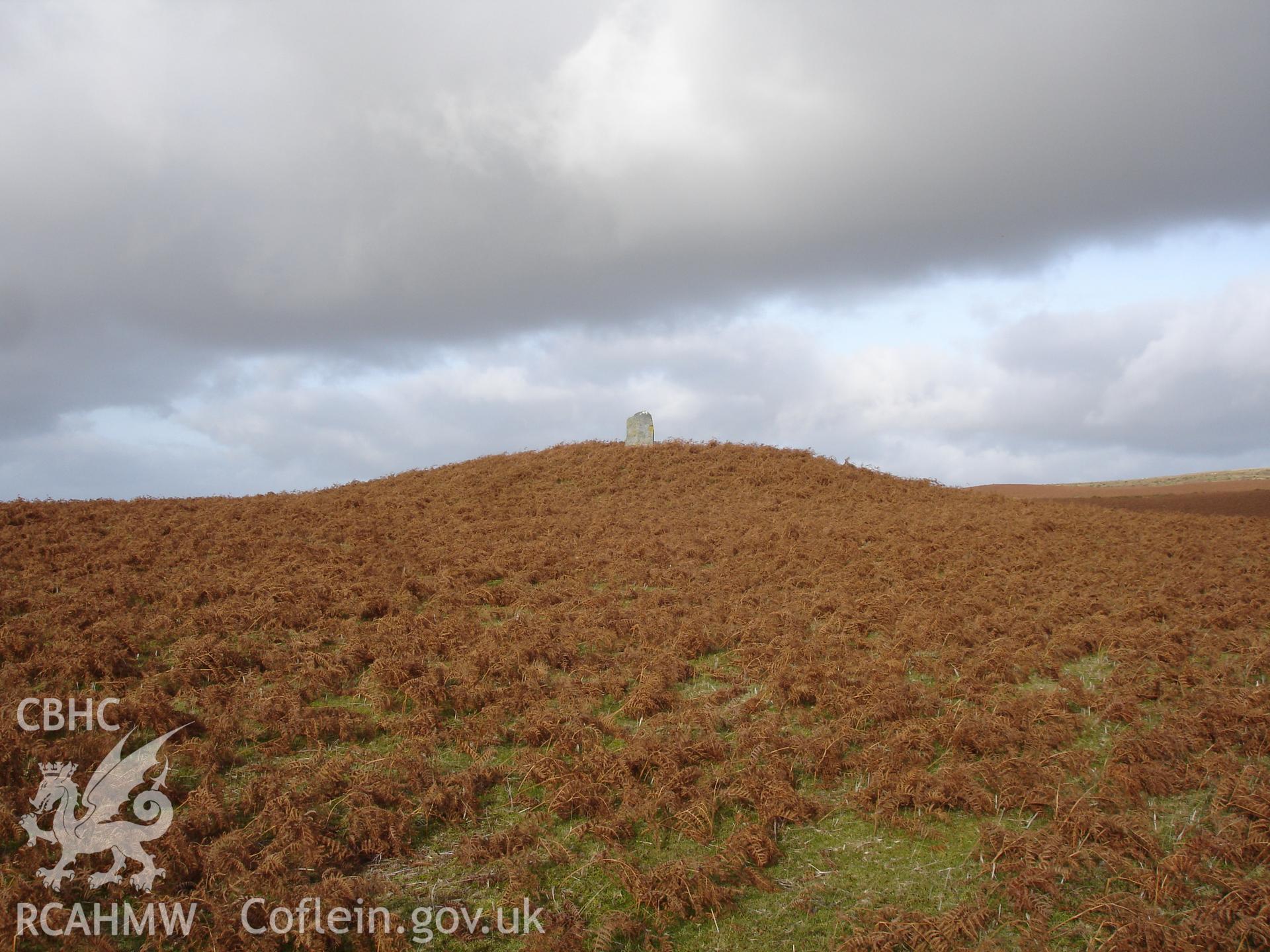 Digital colour photograph of Aberedw Hill barrow I taken on 25/11/2007 by R.P. Sambrook during the Aberedw Hill Upland Survey undertaken by Trysor.