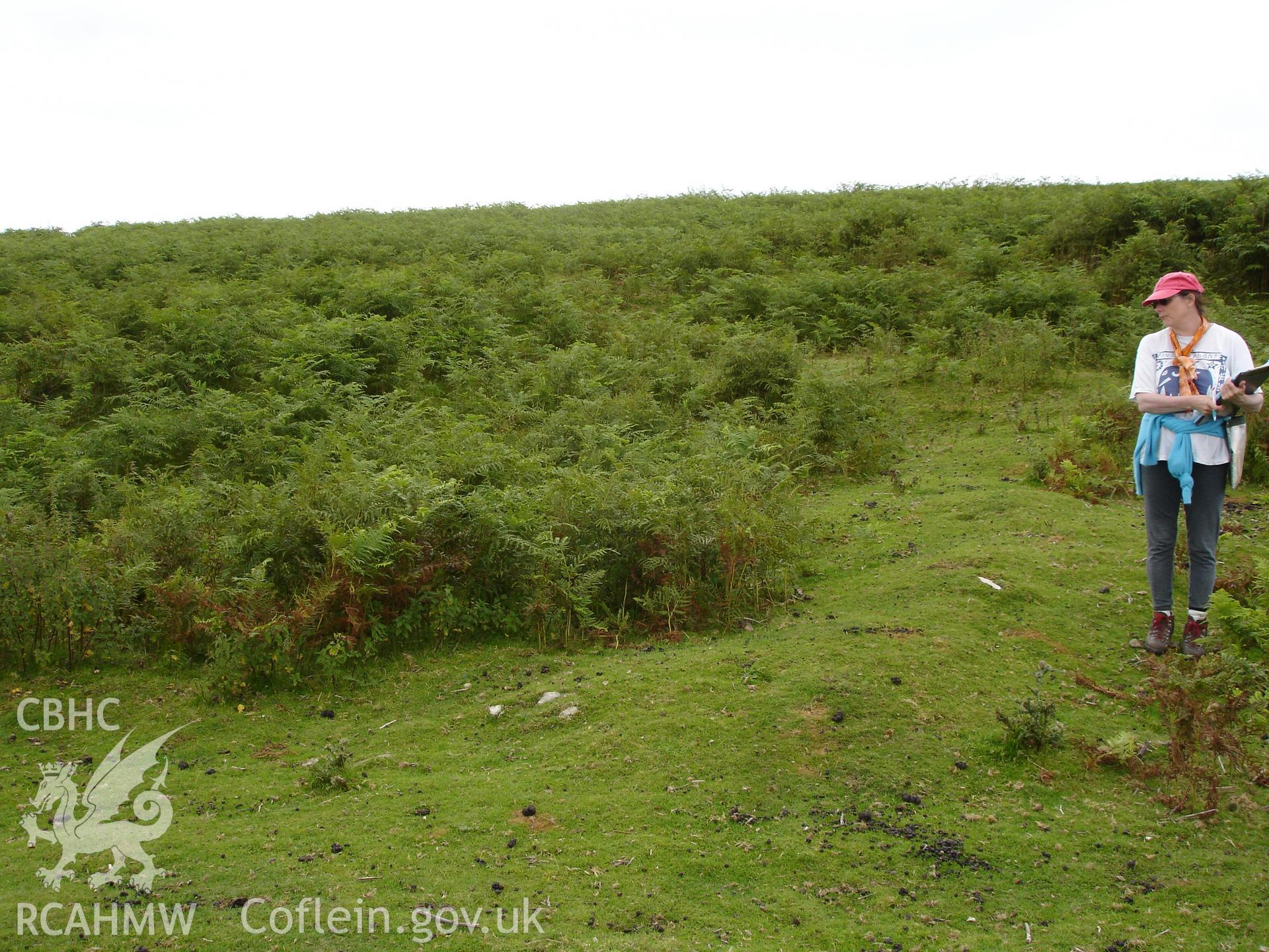 Digital colour photograph of an enclosed long hut at Cwm Blaen Erw taken on 03/08/2007 by R.P. Sambrook during the Aberedw Hill Upland Survey undertaken by Trysor.