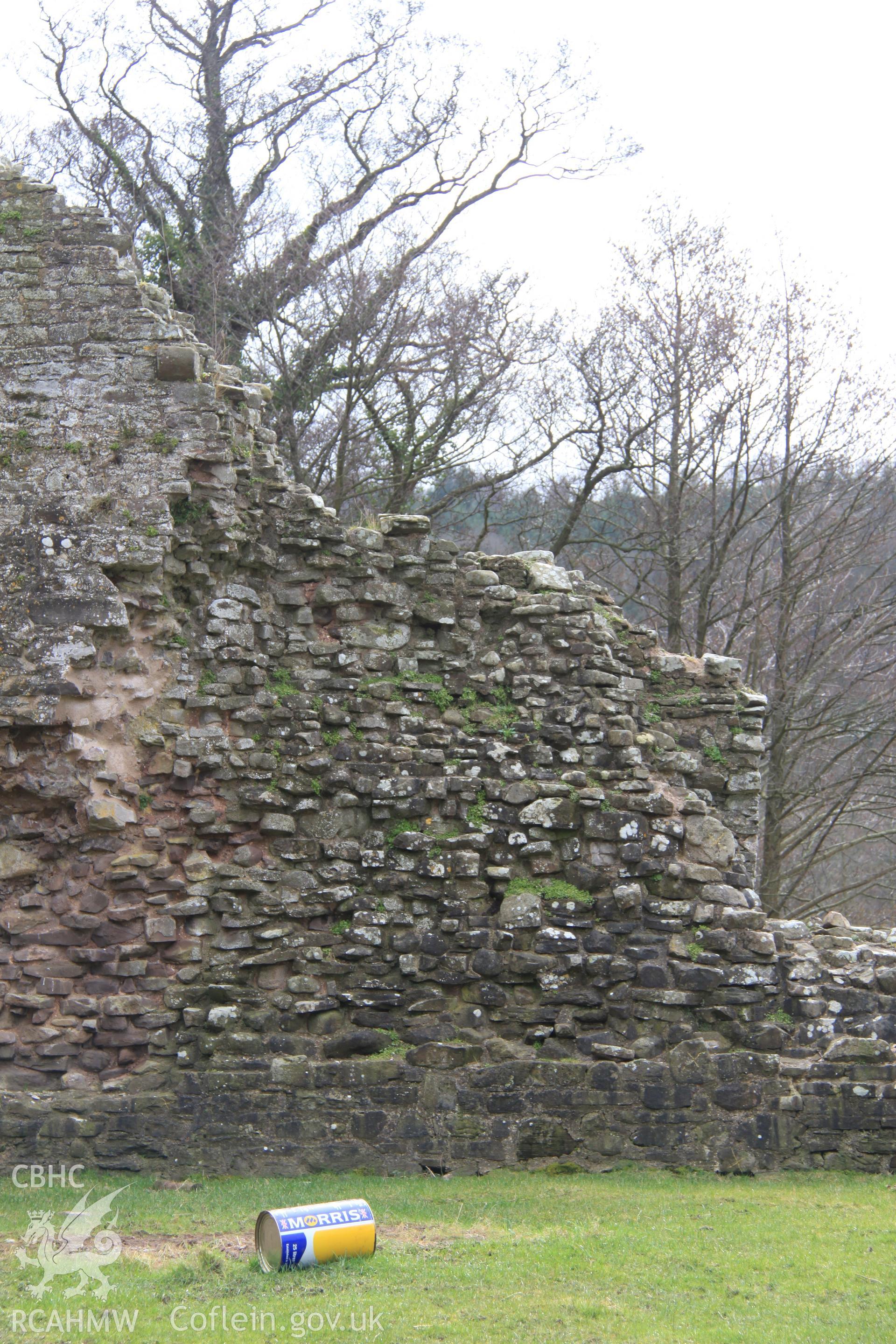 View of the south bailey looking south.