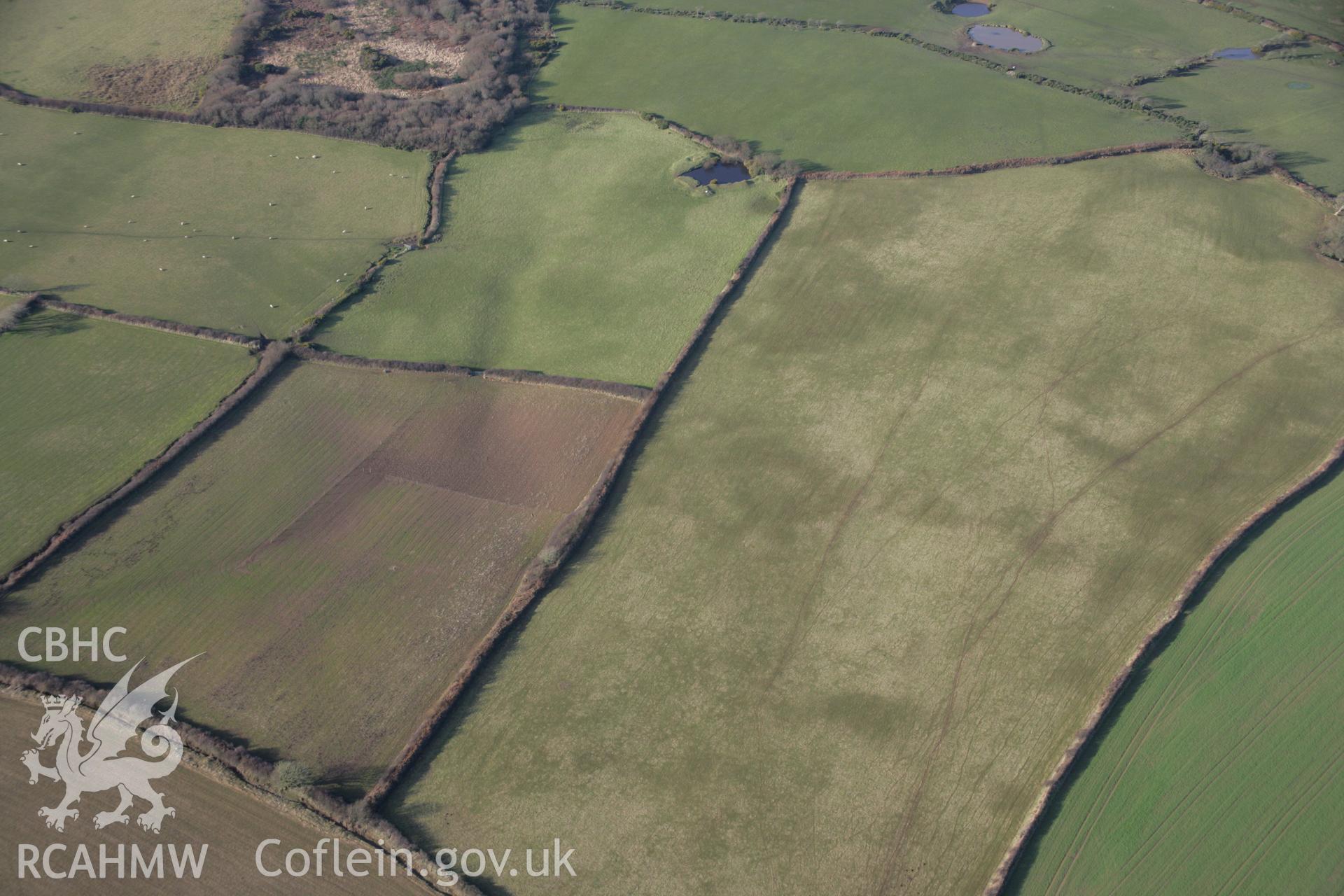 RCAHMW colour oblique aerial photograph of Newton Henge Cropmark, viewed from the south-east. Taken on 26 January 2006 by Toby Driver.