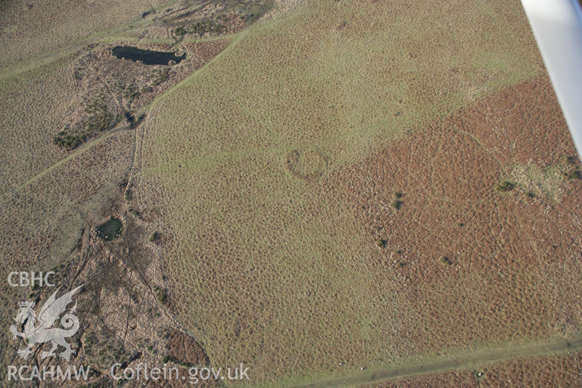 RCAHMW colour oblique aerial photograph of an enclosure near Maen Ceti viewed from the north-east. Taken on 26 January 2006 by Toby Driver.