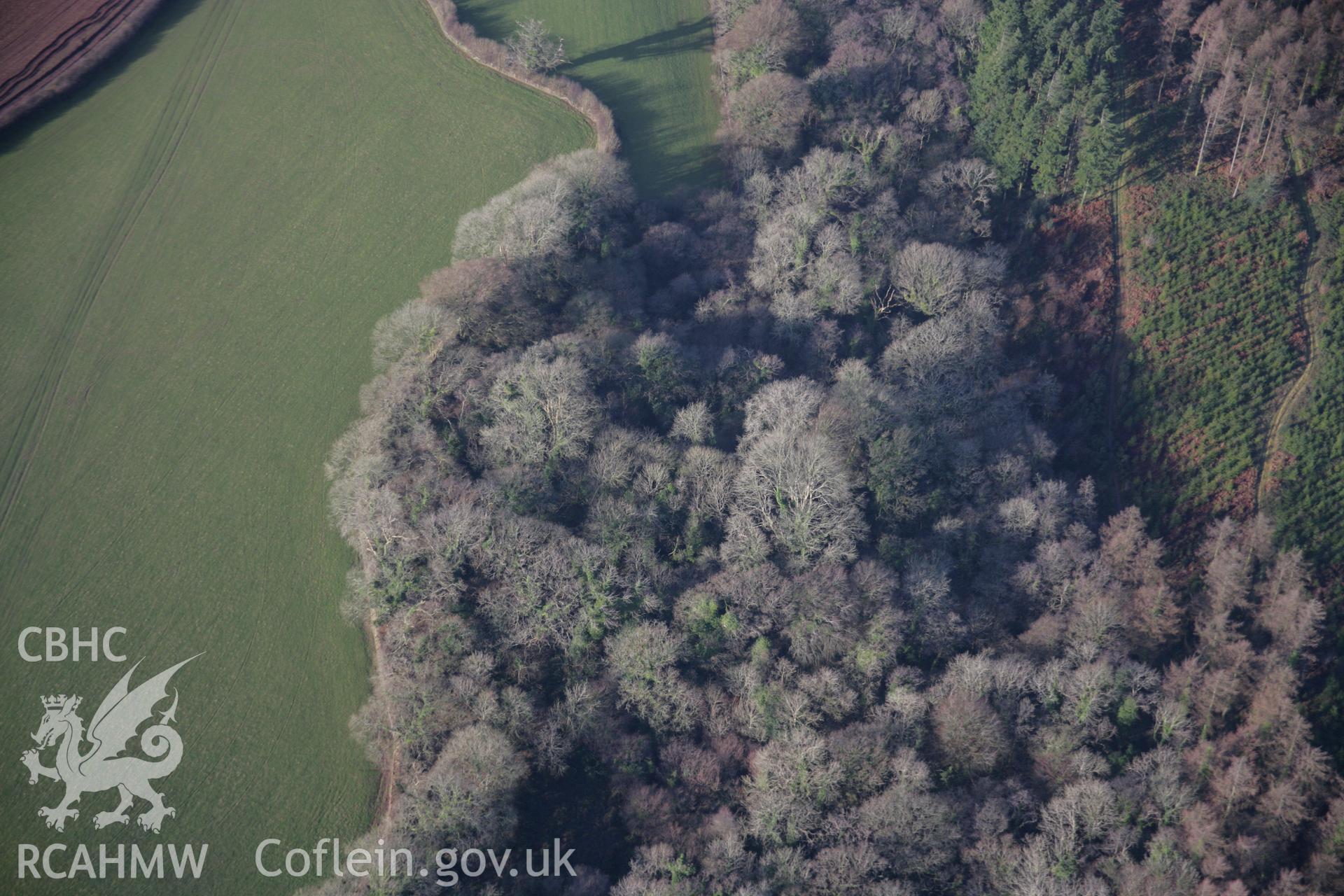 RCAHMW colour oblique aerial photograph of Newhouse remains at Castell Coch, Canaston Bridge, viewed from the south-east. Taken on 11 January 2006 by Toby Driver.