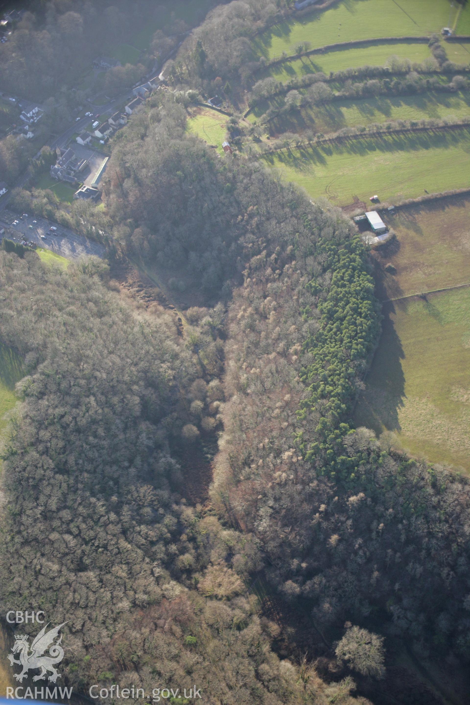 RCAHMW colour oblique aerial photograph of St Cenydd's Chapel from the north. Taken on 26 January 2006 by Toby Driver.