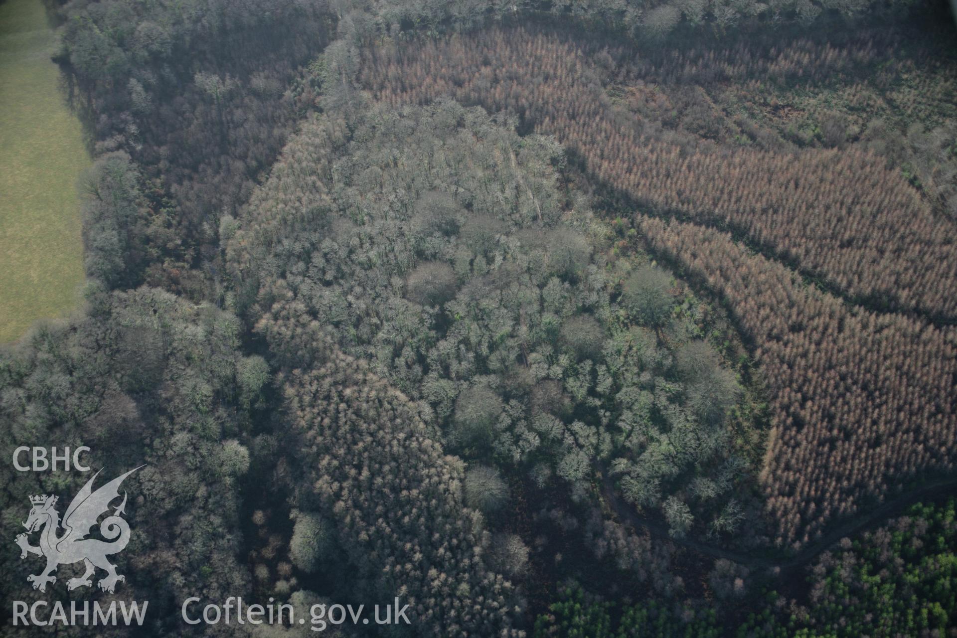 RCAHMW colour oblique aerial photograph of Canaston Wood Camp from the north-east. Taken on 11 January 2006 by Toby Driver.