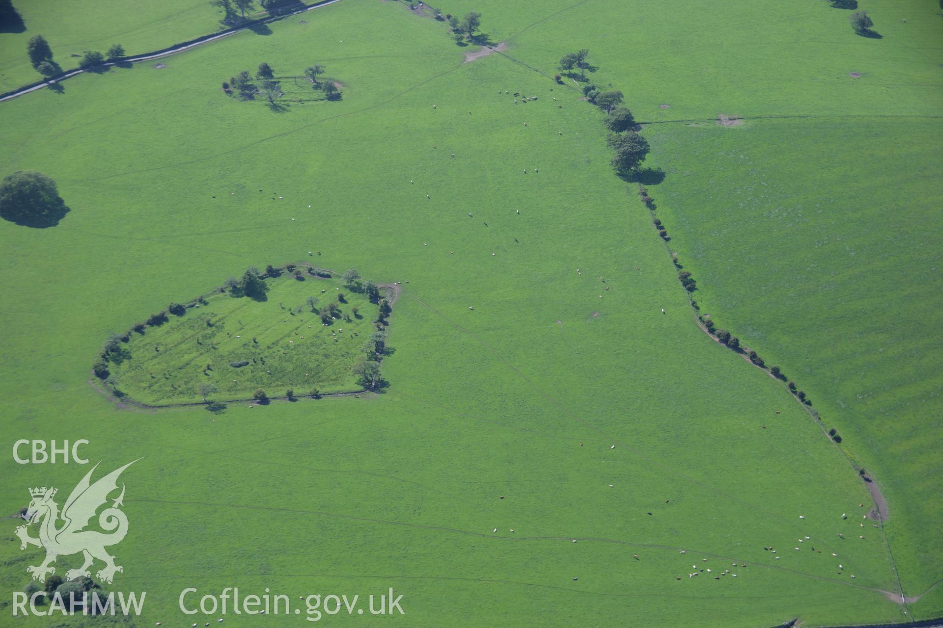 RCAHMW colour oblique aerial photograph of a former tree-planting enclosure northeast of Coed Crwn-y-Castell from the east. Taken on 14 June 2006 by Toby Driver.