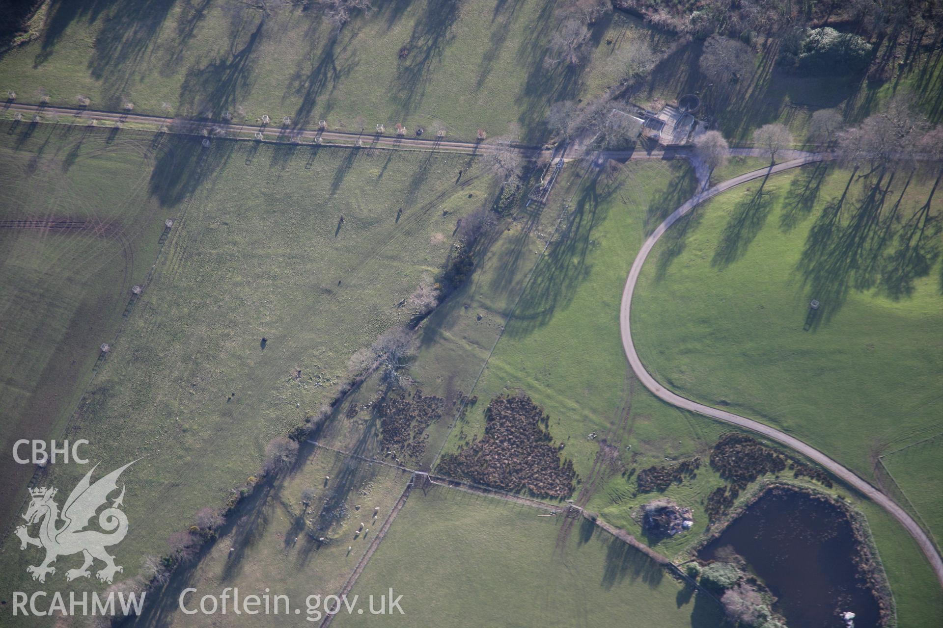 RCAHMW colour oblique aerial photograph of earthworks of tree clumps south of the fort in Glynllifon Park. Viewed from the north. Taken on 09 February 2006 by Toby Driver.