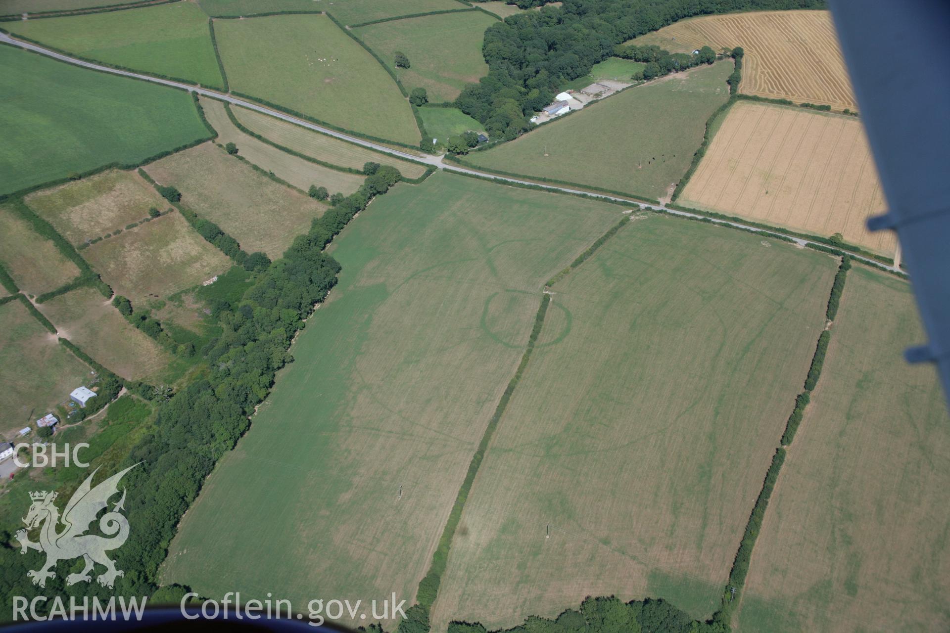 RCAHMW colour oblique aerial photograph of a concentric cropmark enclosure northwest of Brechfa. Taken on 24 July 2006 by Toby Driver.