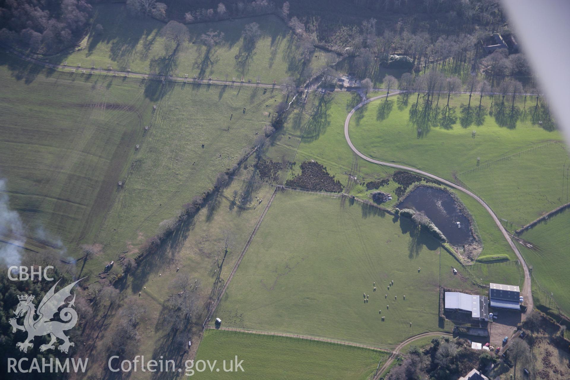 RCAHMW colour oblique aerial photograph of earthworks of tree clumps south of the fort in Glynllifon Park. Viewed from the north. Taken on 09 February 2006 by Toby Driver.