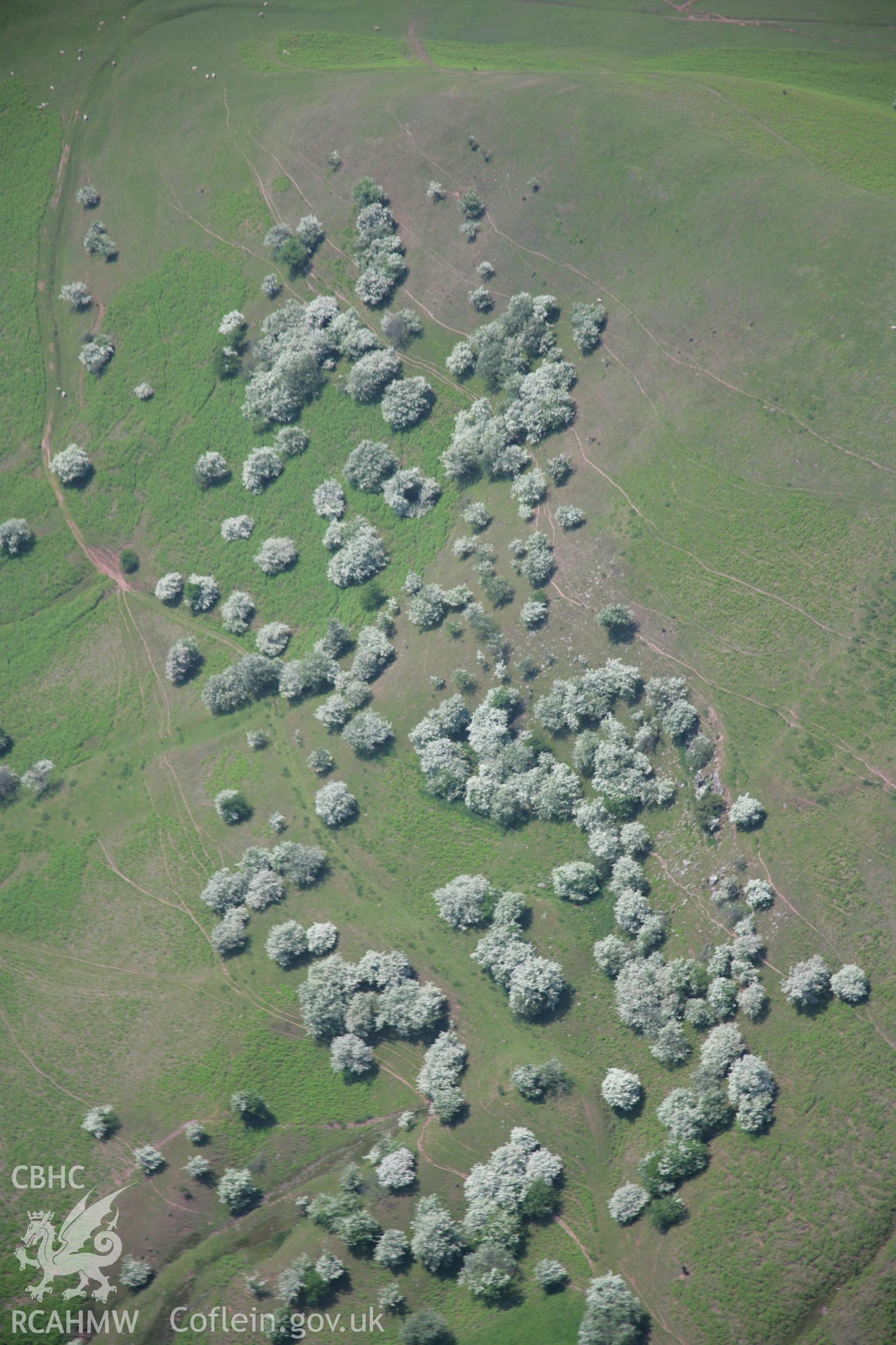 RCAHMW colour oblique aerial photograph of may blossom north-east of Castell Dinas. Taken on 09 June 2006 by Toby Driver