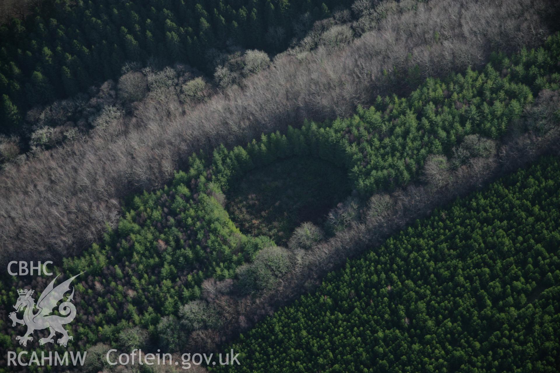 RCAHMW colour oblique aerial photograph of Minwear Wood Nursery Defended Enclosure, view from the north-west. Taken on 11 January 2006 by Toby Driver.