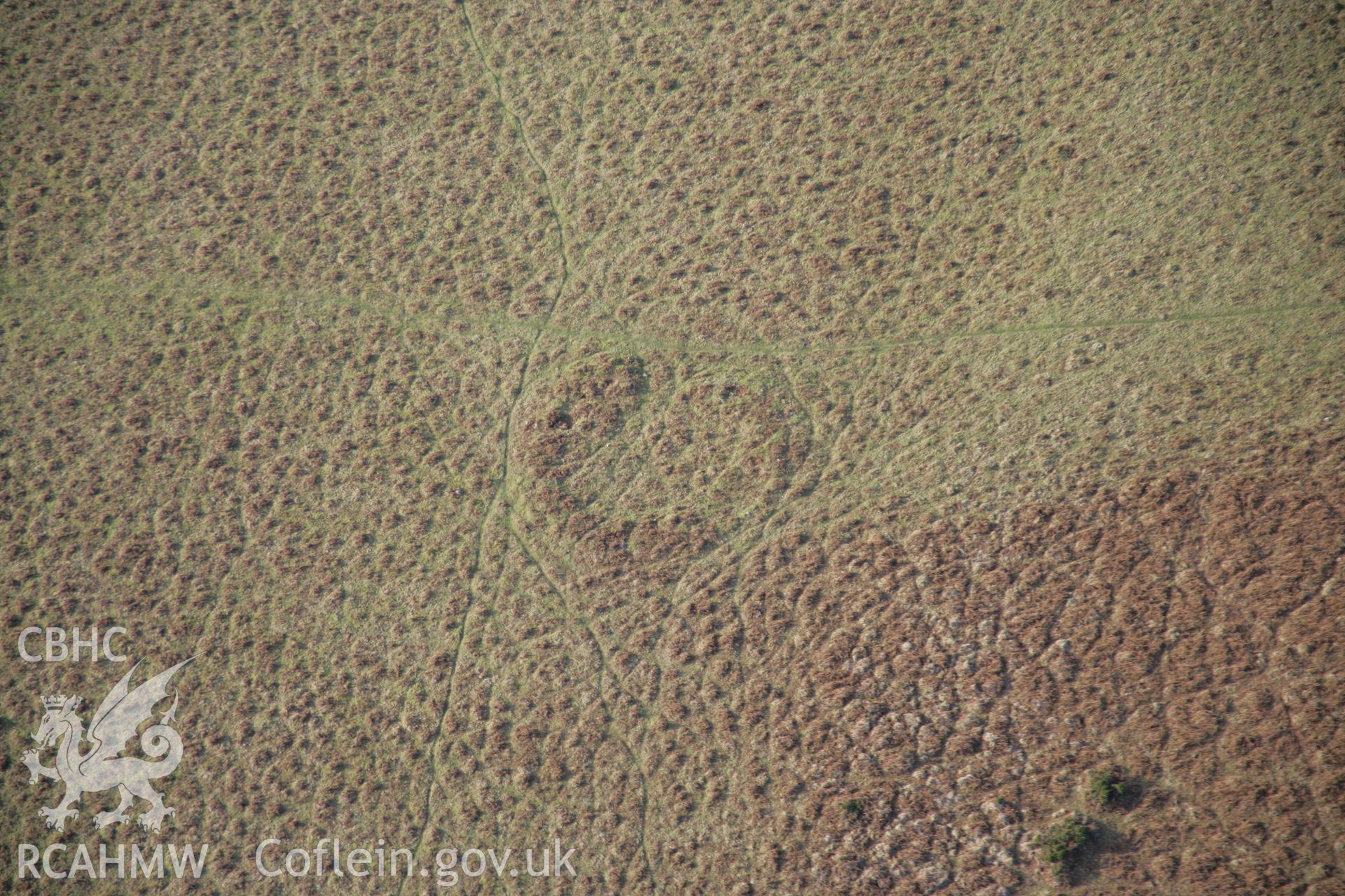 RCAHMW colour oblique aerial photograph of an enclosure near Maen Ceti viewed from the east. Taken on 26 January 2006 by Toby Driver.