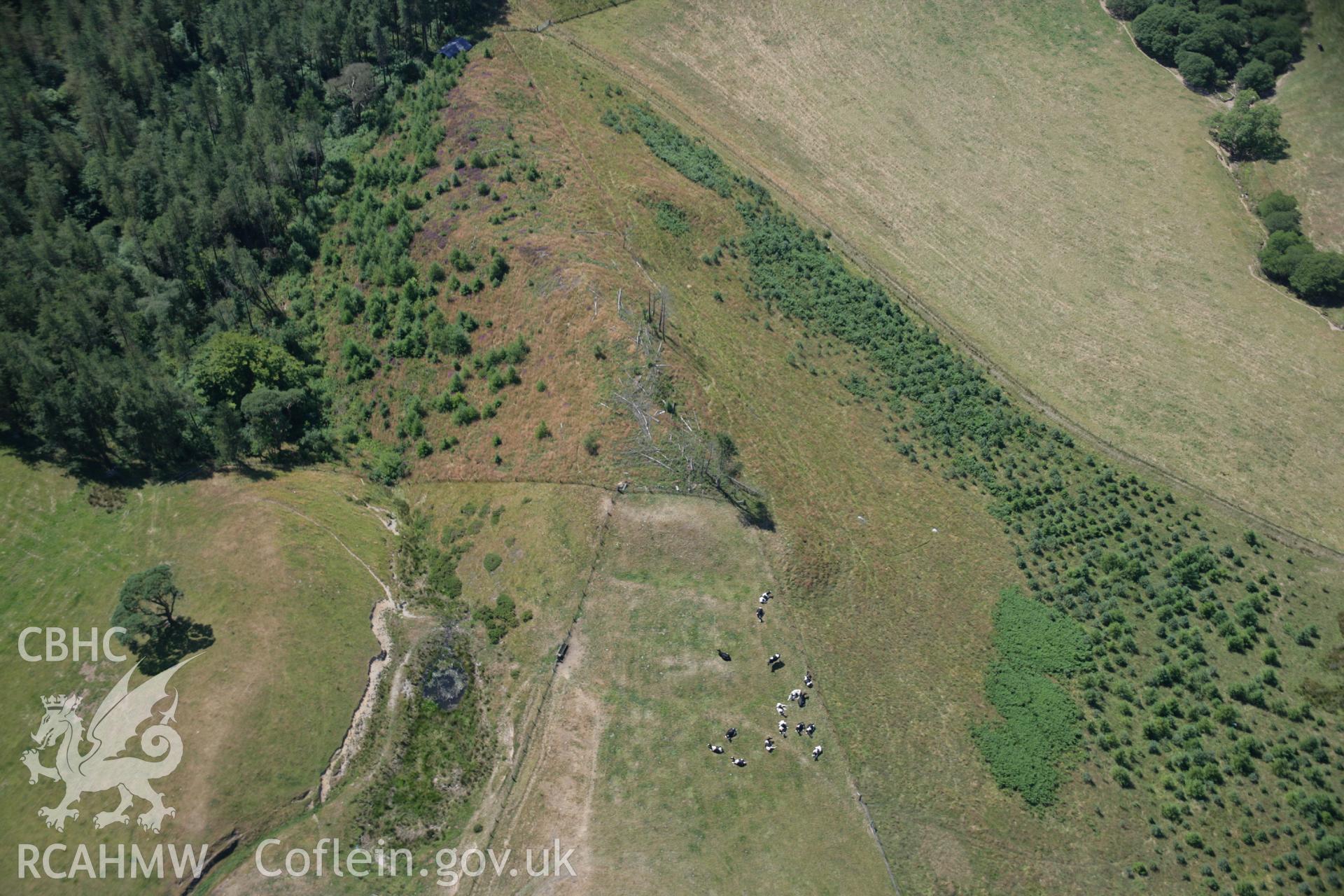 RCAHMW colour oblique aerial photograph of Coed Ty'n-y-Cwm. Taken on 17 July 2006 by Toby Driver.