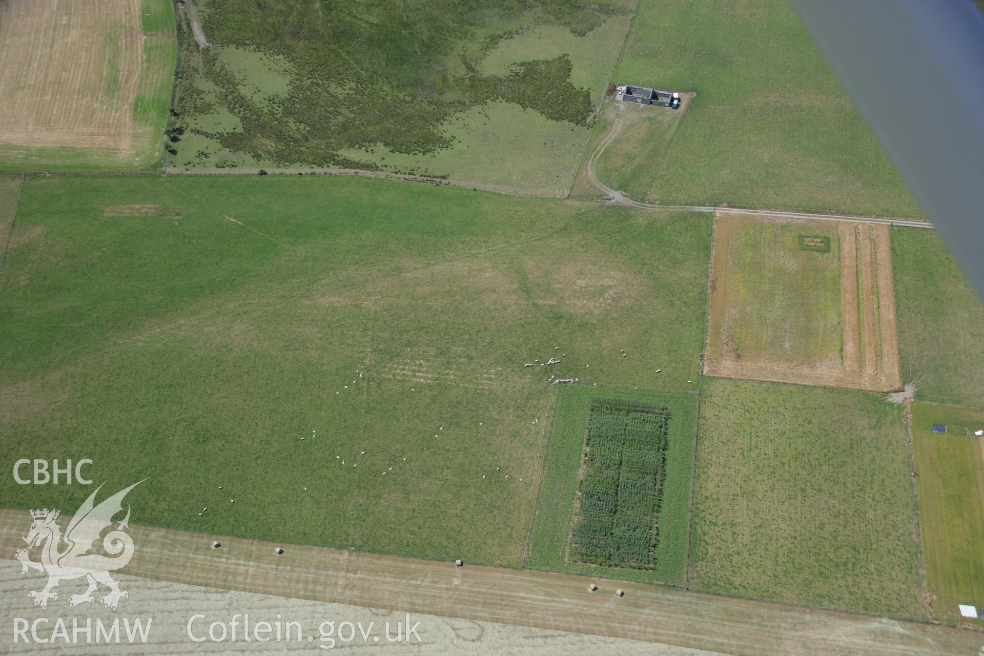 RCAHMW colour oblique aerial photograph of possible enclosure, Bont-Goch. Taken on 17 July 2006 by Toby Driver.