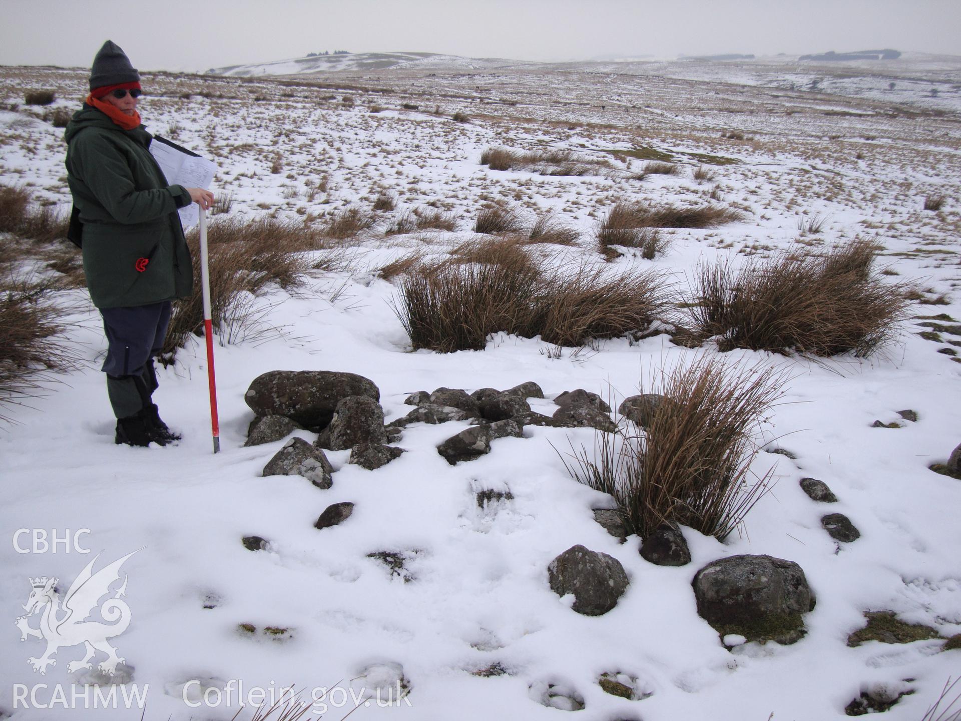 Digital colour photograph of Gwaun Ymryson cairn II taken on 12/02/2009 by R.P.Sambrook during the Banc y Celyn Upland Survey undertaken by Trysor.