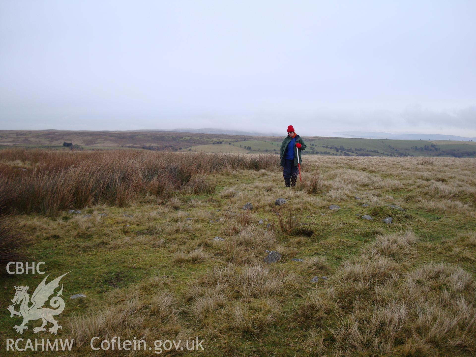 Digital colour photograph of Twyn y Post stone spread II taken on 14/01/2009 by R.P.Sambrook during the Banc y Celyn Upland Survey undertaken by Trysor.