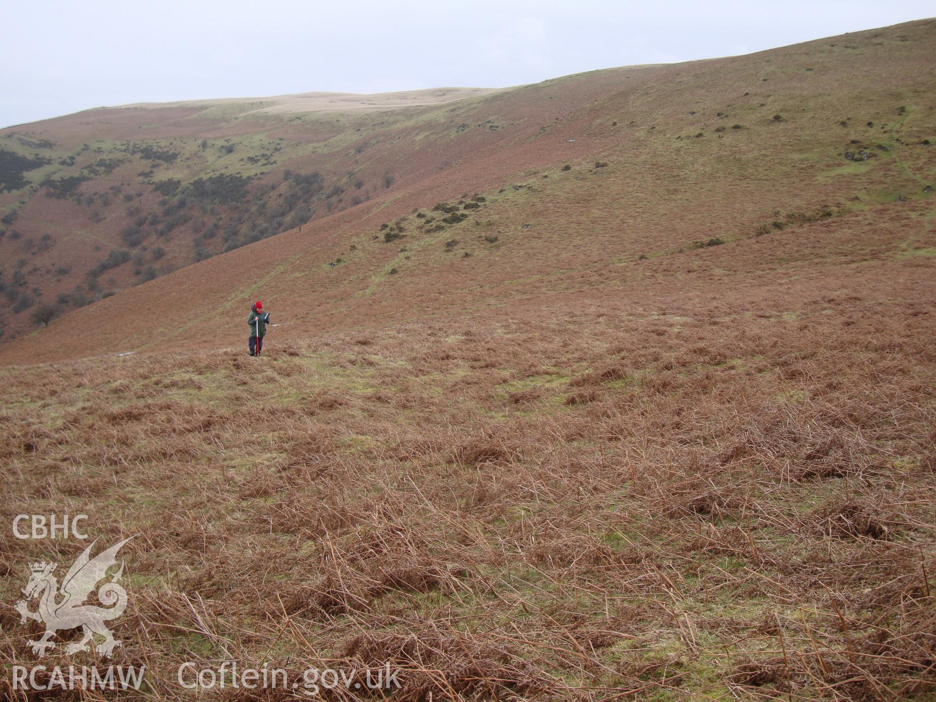 Digital colour photograph of Cwmhindda earthwork platform III taken on 11/01/2009 by R.P.Sambrook during the Banc y Celyn Upland Survey undertaken by Trysor.