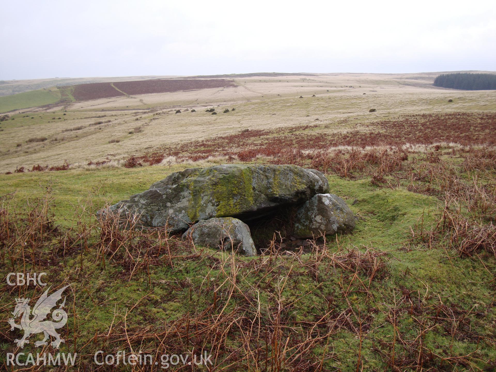 Digital colour photograph of Bailey Bach round cairn and cist taken on 15/01/2009 by R.P.Sambrook during the Banc y Celyn Upland Survey undertaken by Trysor.