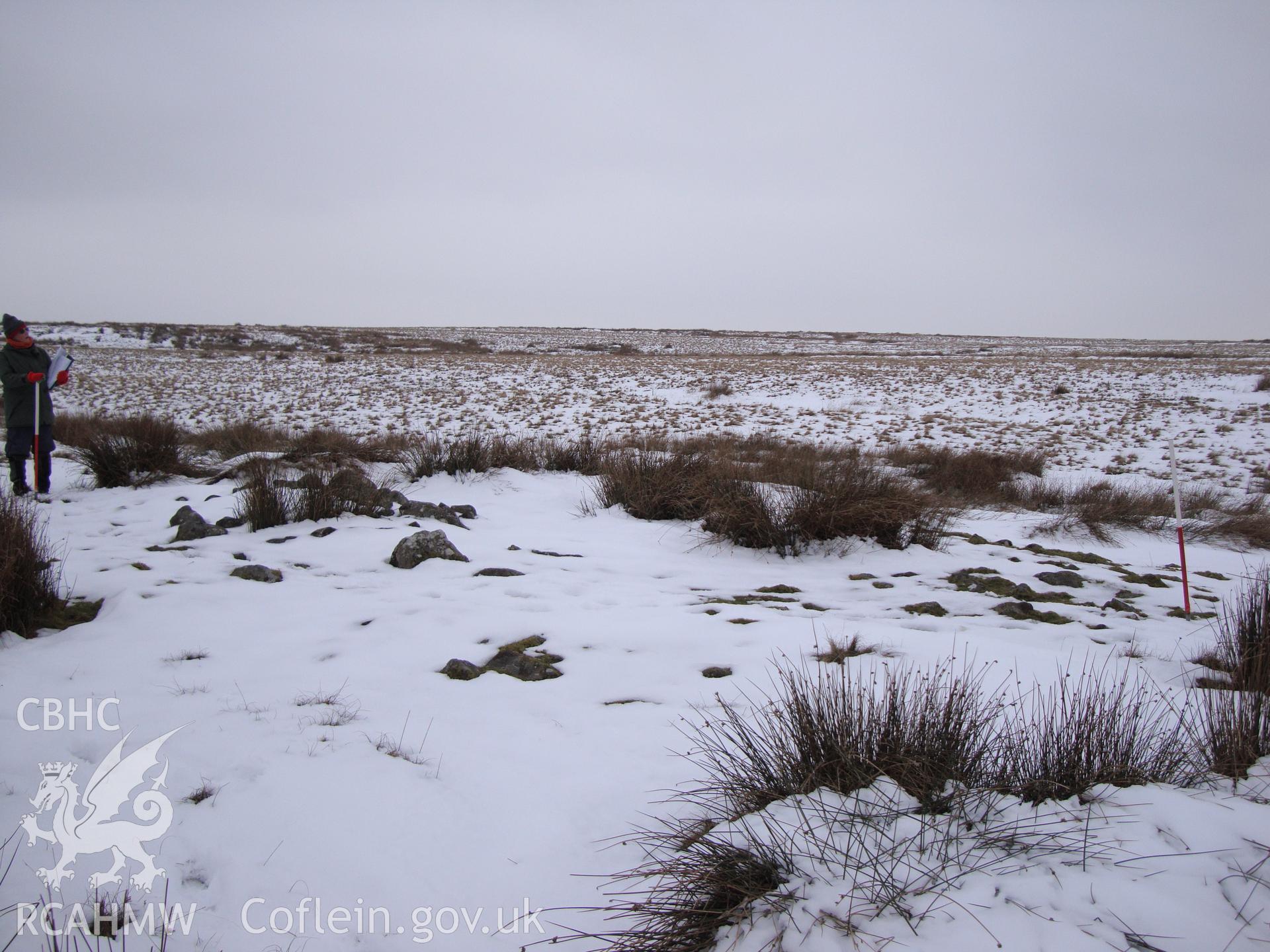 Digital colour photograph of Gwaun Ymryson cairn II taken on 12/02/2009 by R.P.Sambrook during the Banc y Celyn Upland Survey undertaken by Trysor.