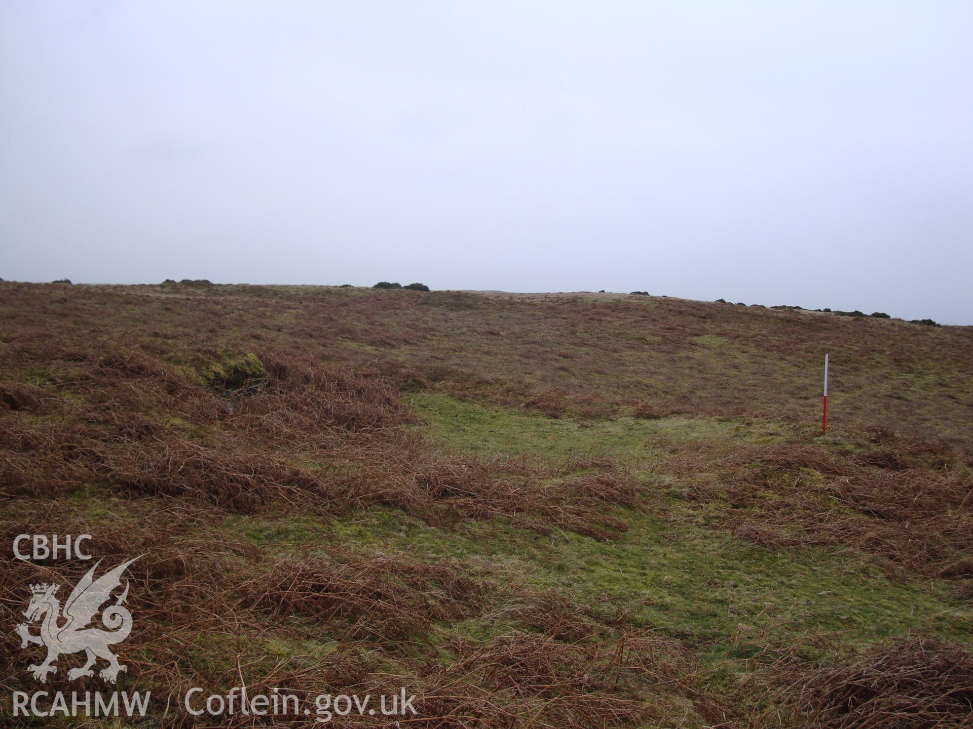 Digital colour photograph of Cwmhindda earthwork platform II taken on 11/01/2009 by R.P.Sambrook during the Banc y Celyn Upland Survey undertaken by Trysor.