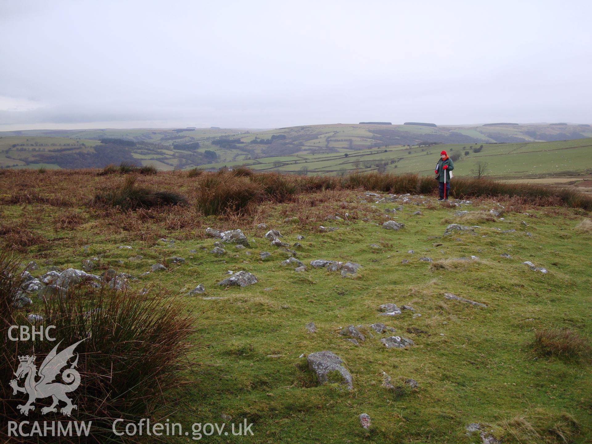 Digital colour photograph of Cornelau Uchaf enclosure I taken on 14/01/2009 by R.P.Sambrook during the Banc y Celyn Upland Survey undertaken by Trysor.