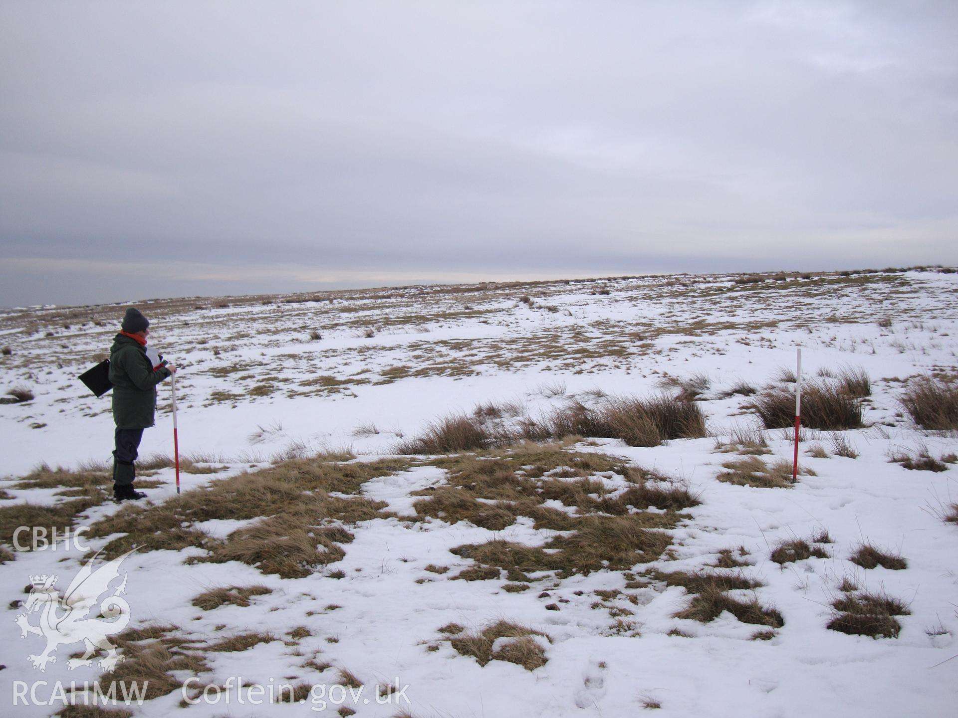 Digital colour photograph of Gwaun Ymryson cairn I taken on 12/02/2009 by R.P.Sambrook during the Banc y Celyn Upland Survey undertaken by Trysor.