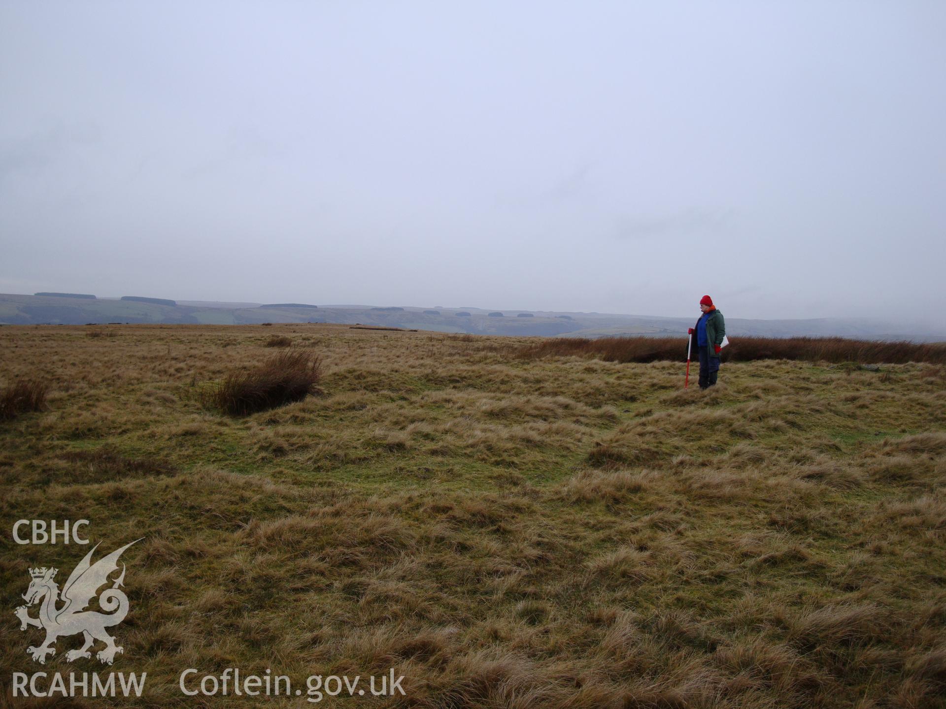 Digital colour photograph of Twyn y Post earthwork taken on 14/01/2009 by R.P.Sambrook during the Banc y Celyn Upland Survey undertaken by Trysor.